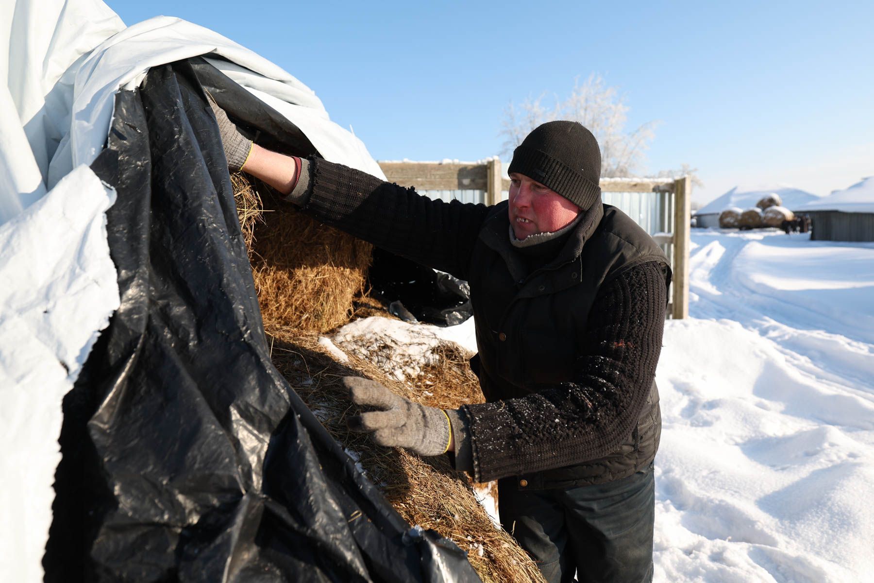 © Павел Орловский, Times.by