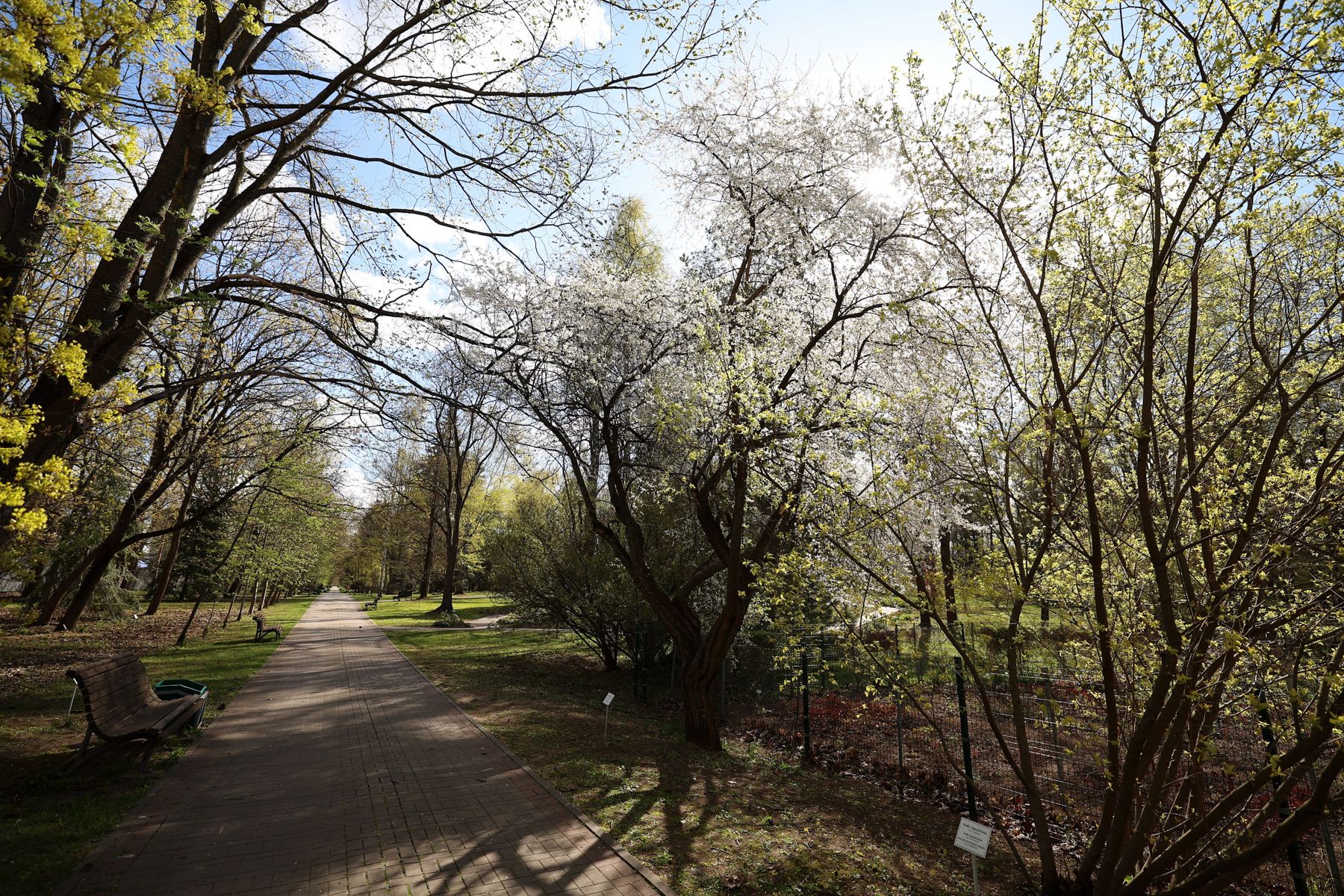 Фото: Павел Орловский, Times.by