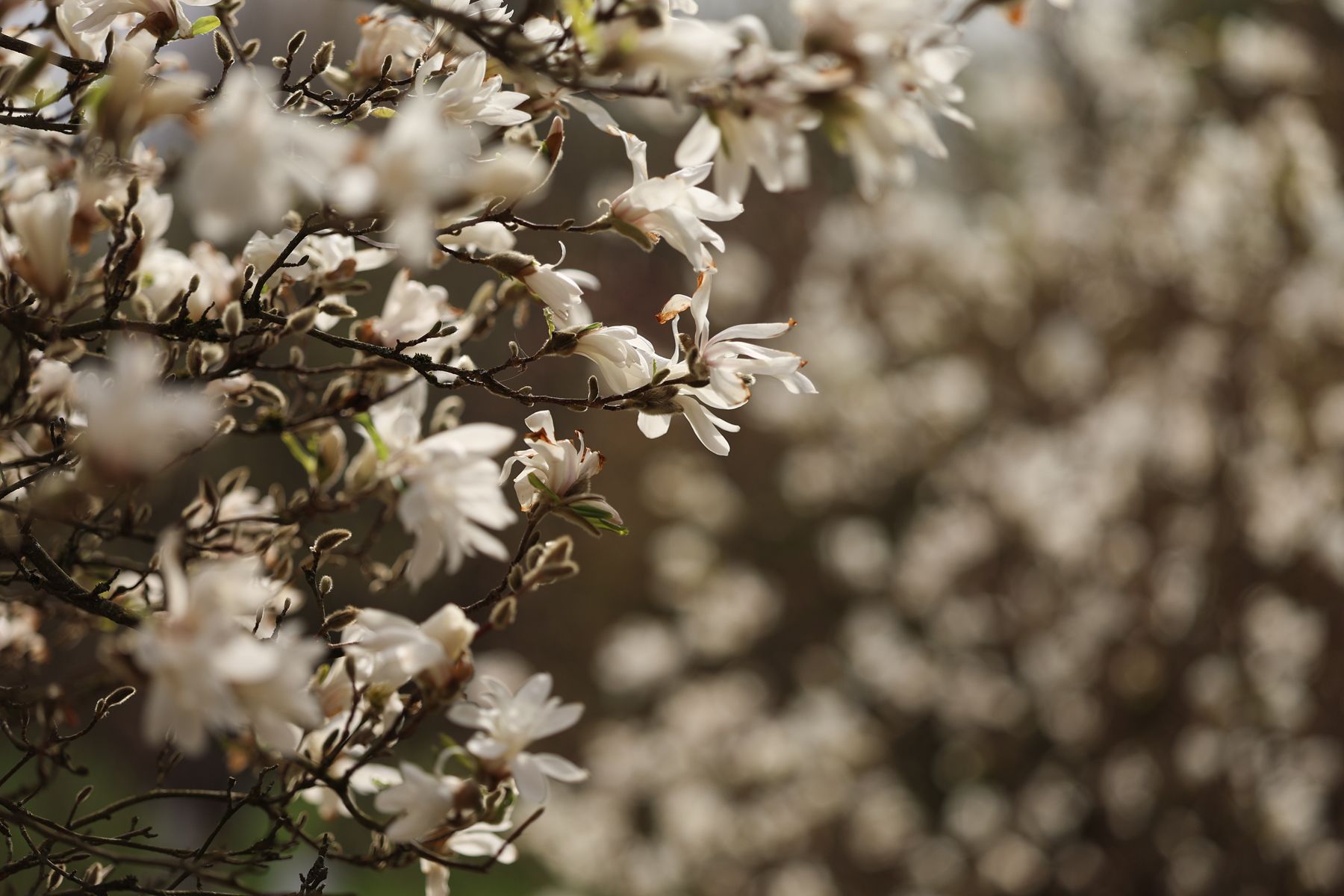 Фото: Павел Орловский, Times.by