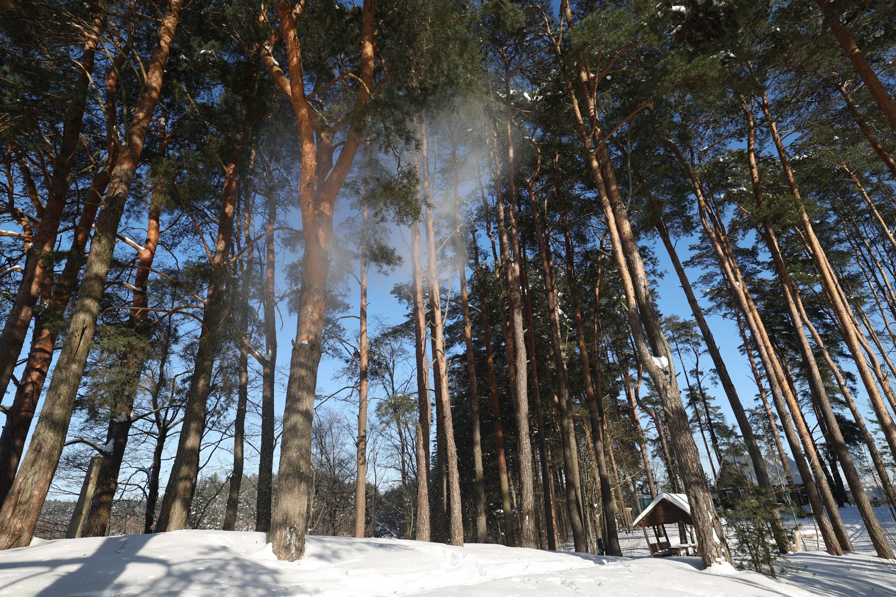 Резиденция Снегурочки