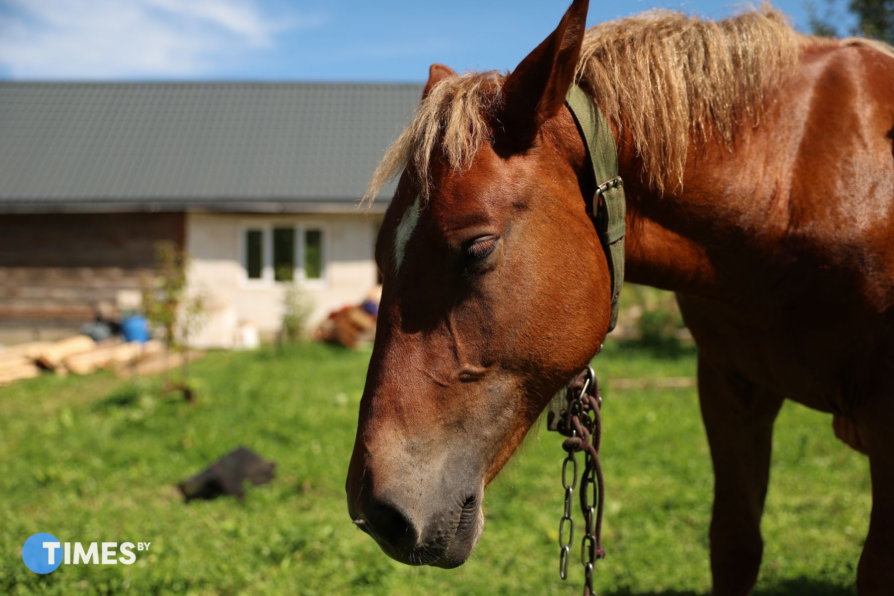 Фото: Times.by