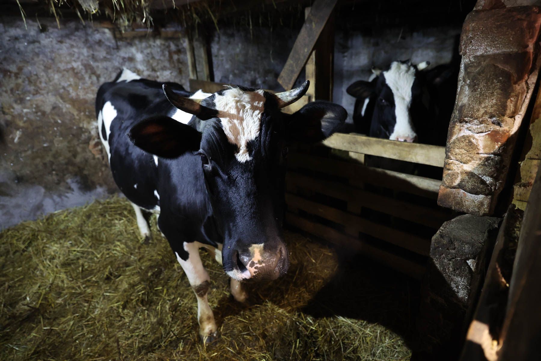 © Павел Орловский, Times.by