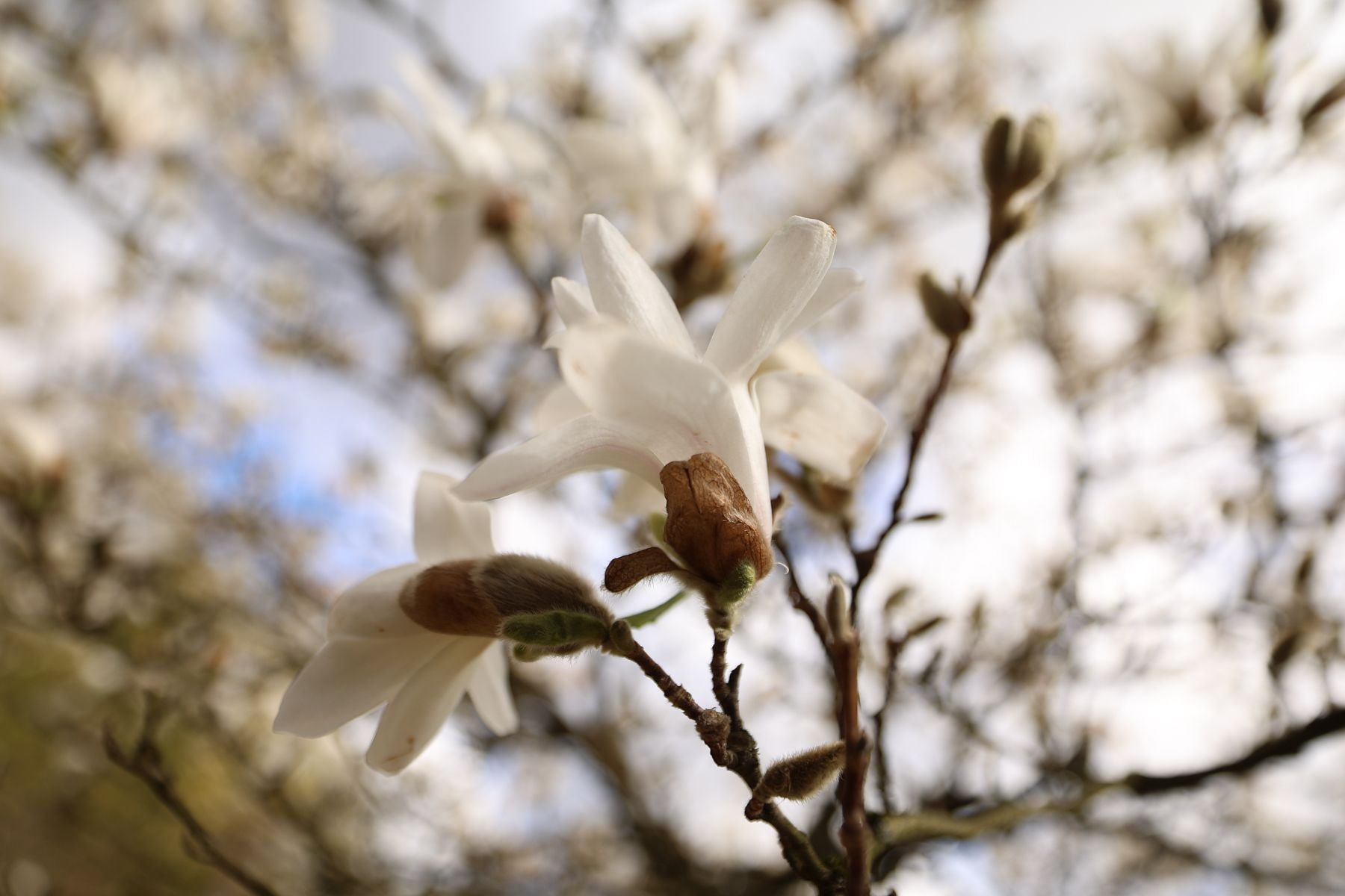 Фото: Павел Орловский, Times.by
