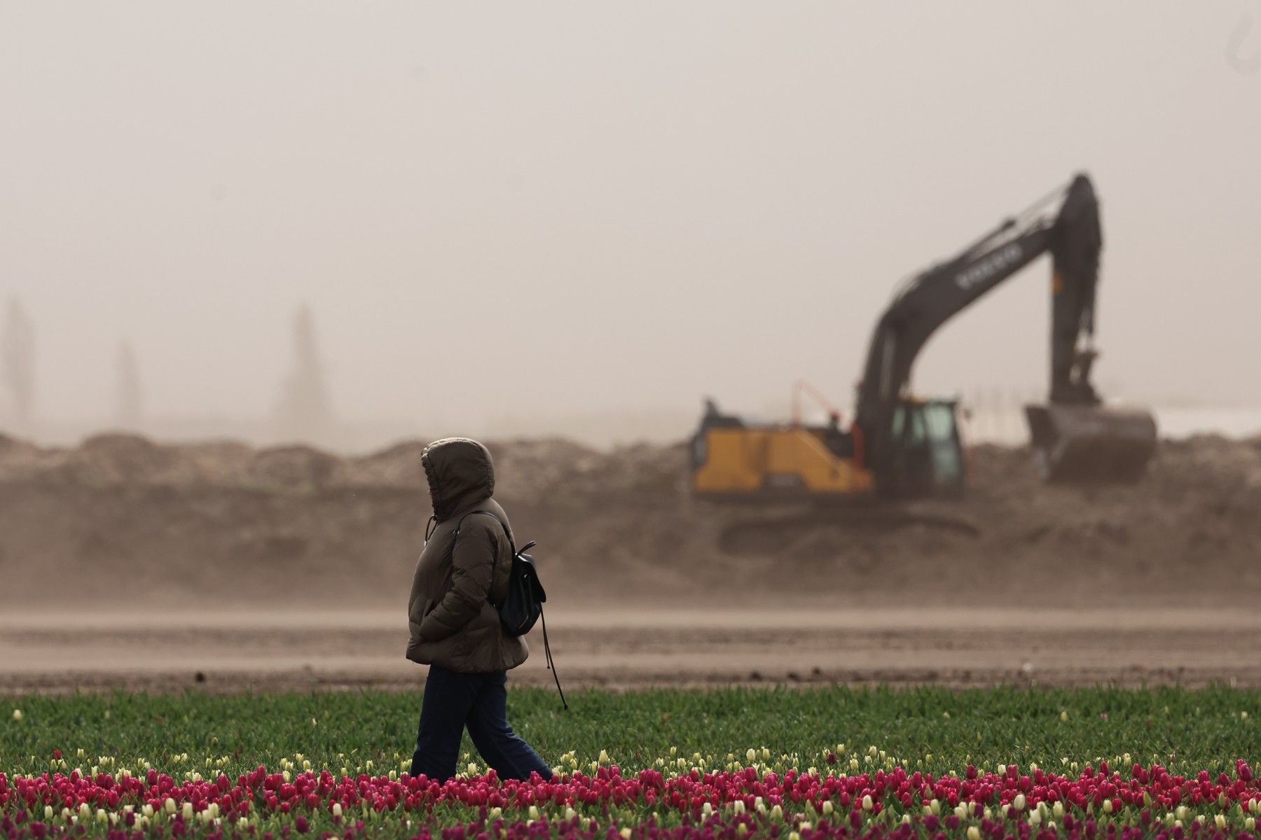 Фото: Павел Орловский, Times.by