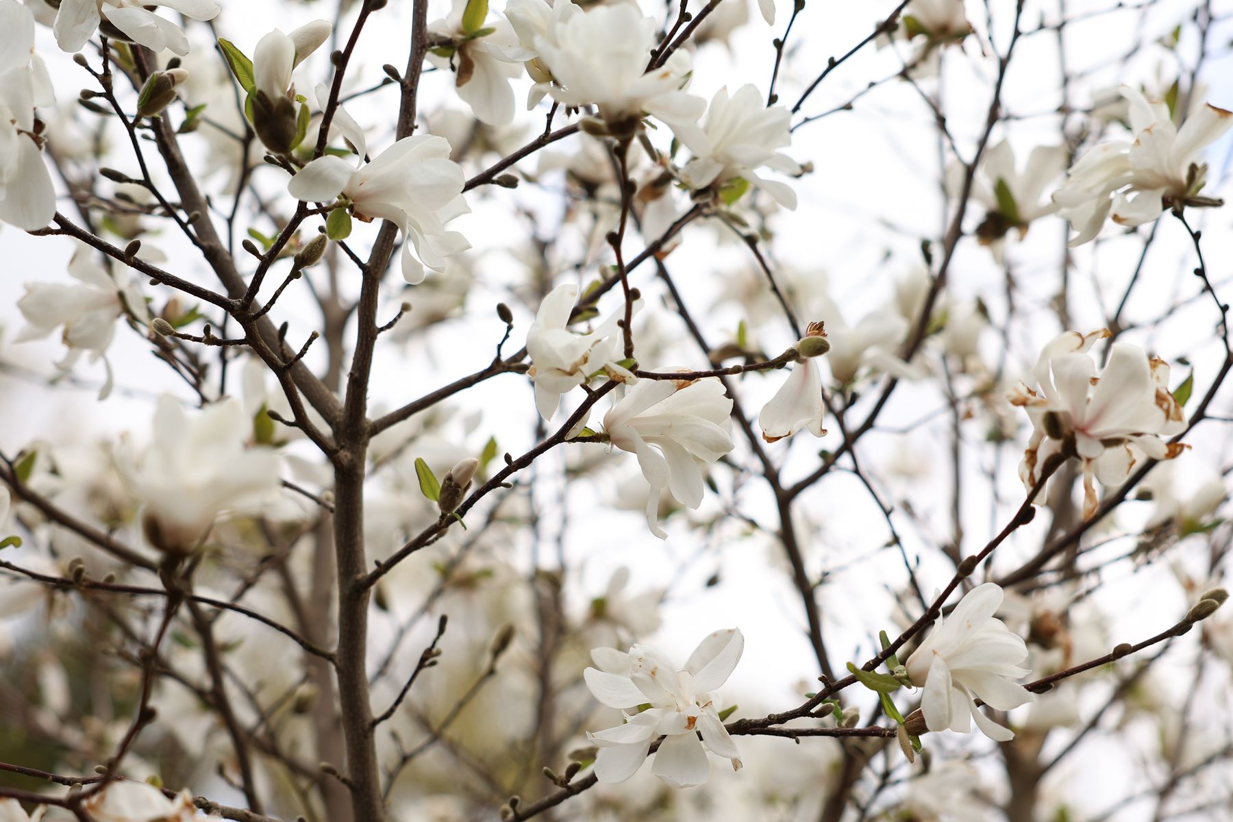 Фото: Павел Орловский, Times.by