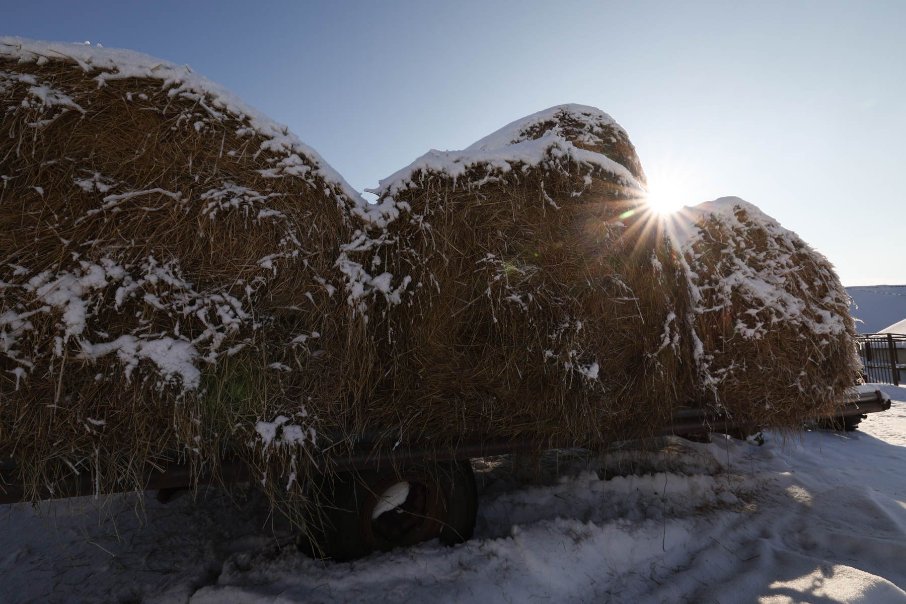 © Павел Орловский, Times.by