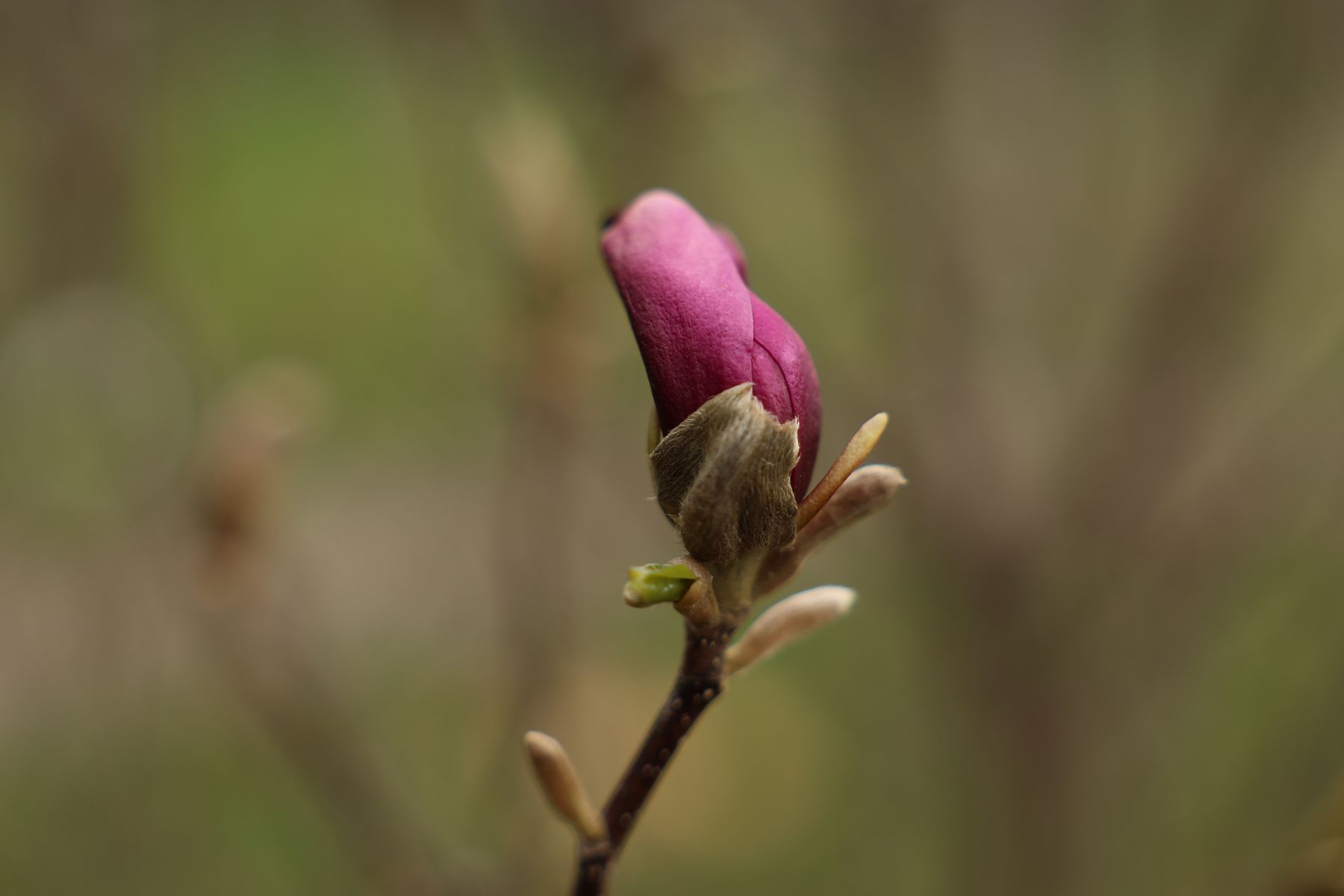 Фото: Павел Орловский, Times.by