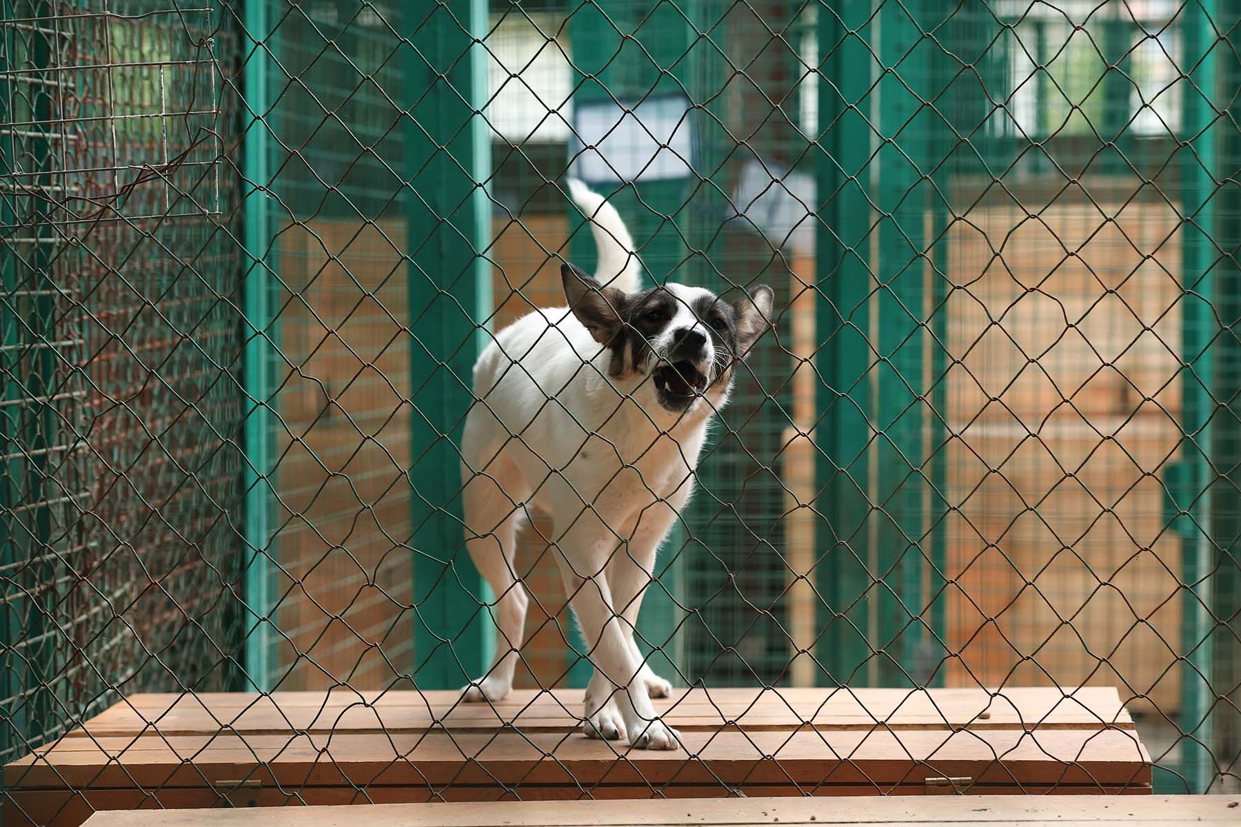 Фото: Павел Орловский, Times.by
