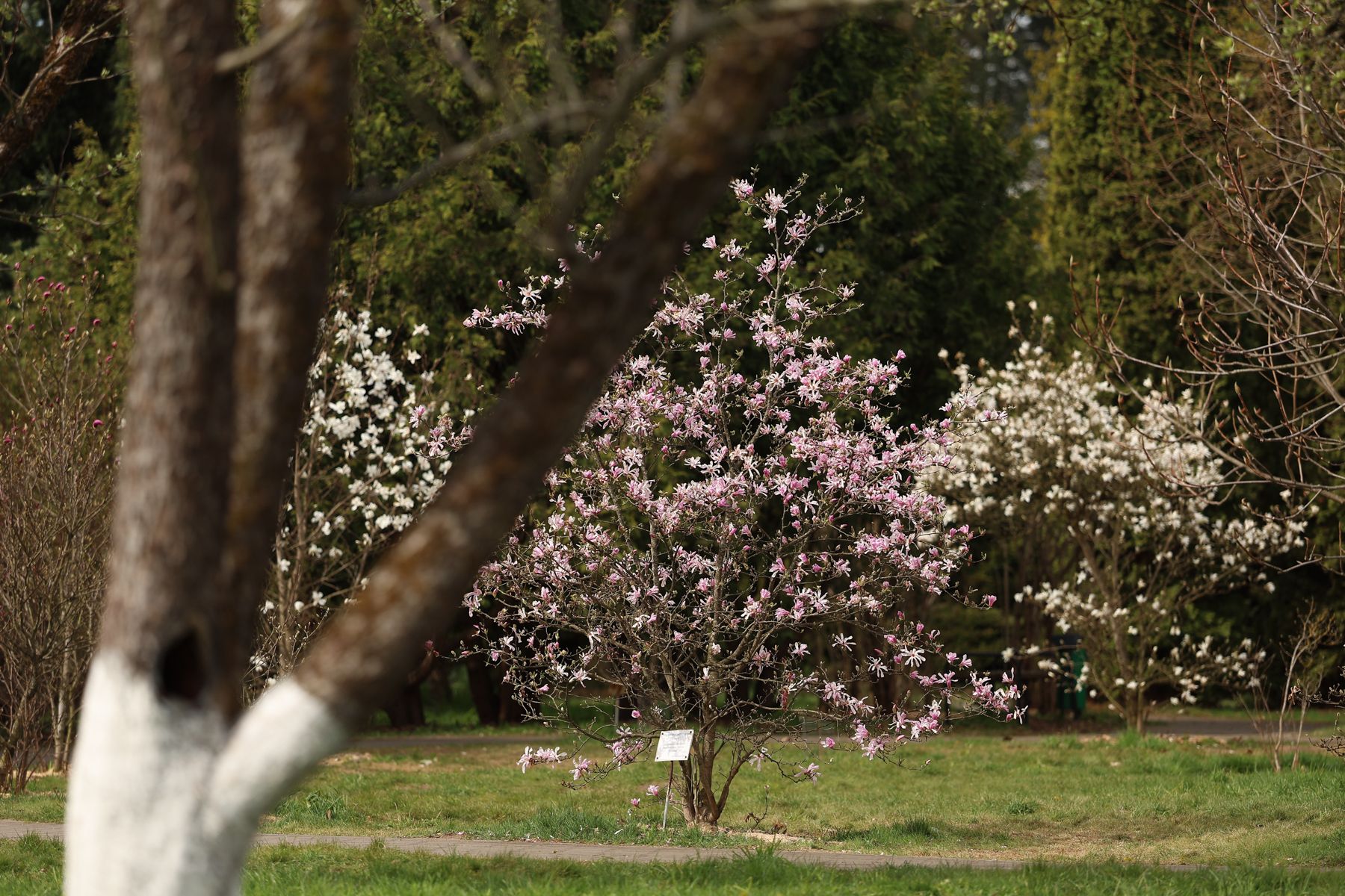 Фото: Павел Орловский, Times.by