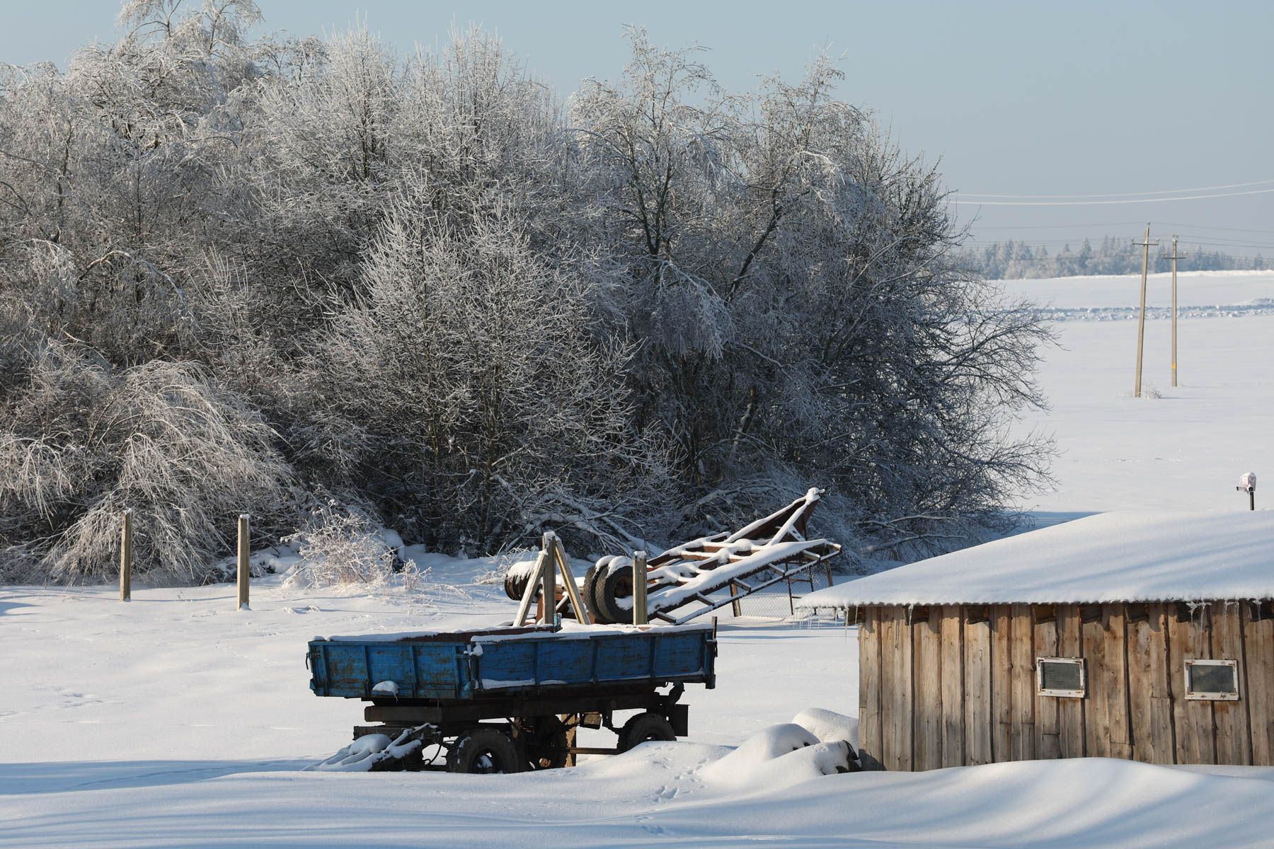 © Павел Орловский, Times.by