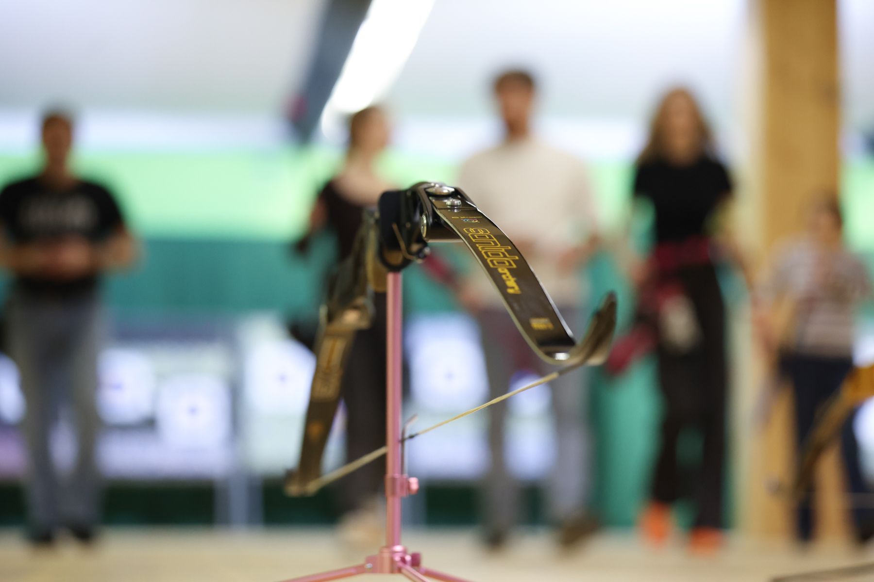 Стрельба из лука