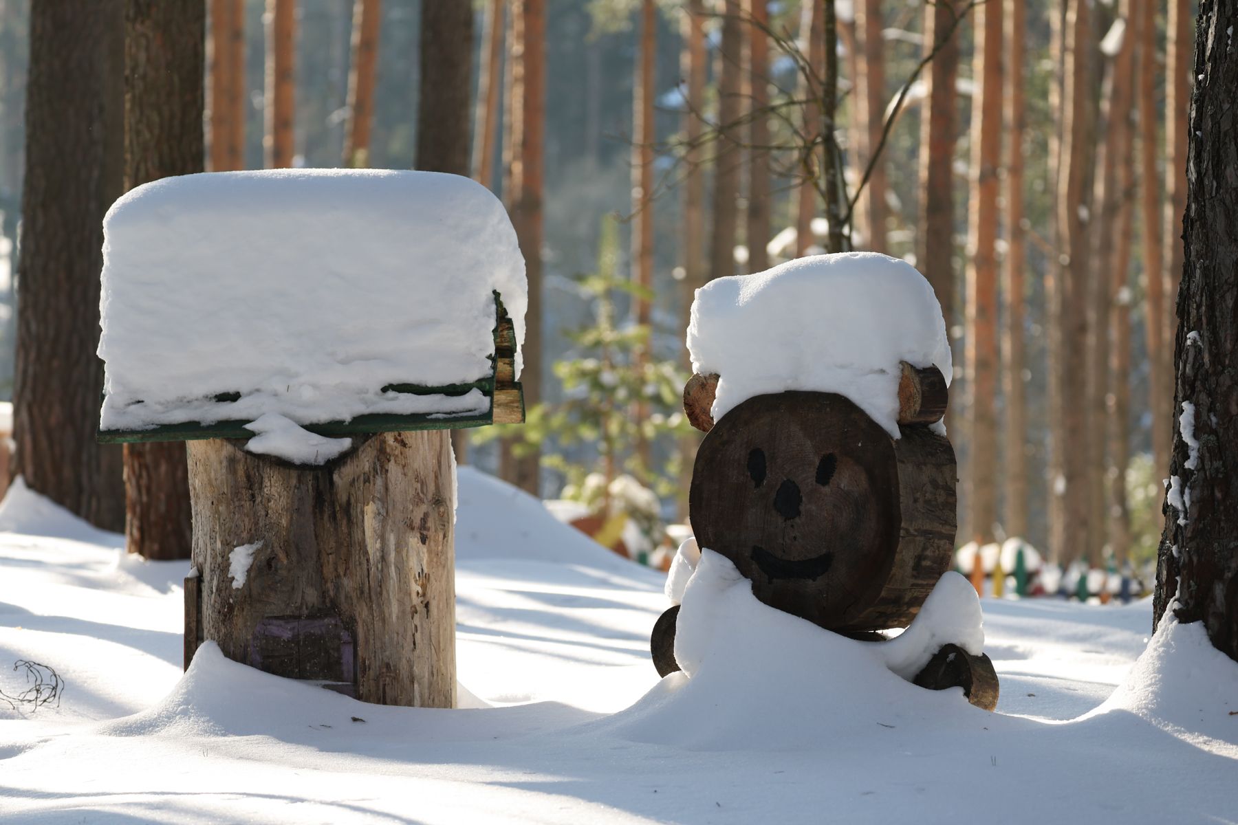 Резиденция Снегурочки
