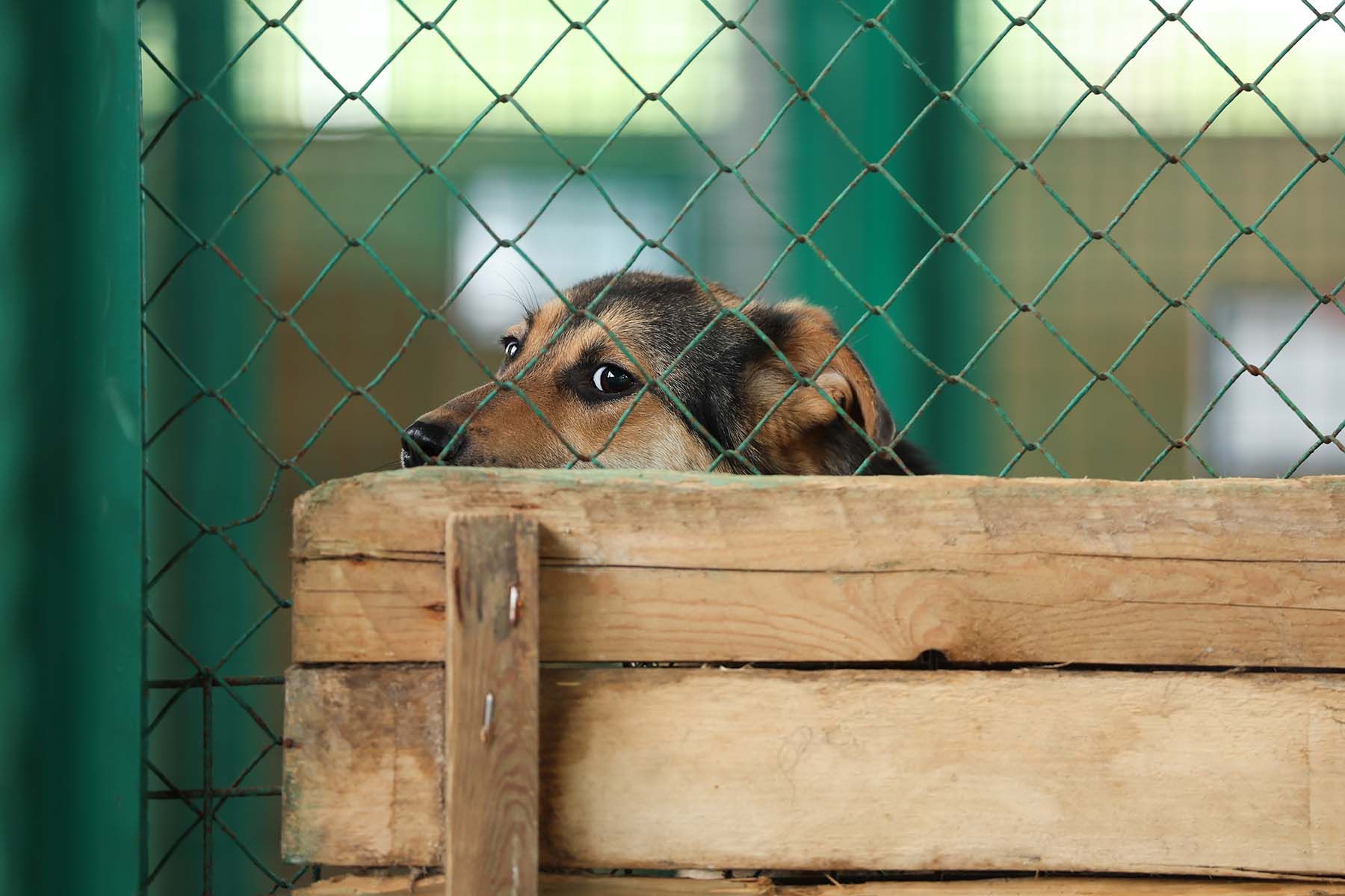 Фото: Павел Орловский, Times.by