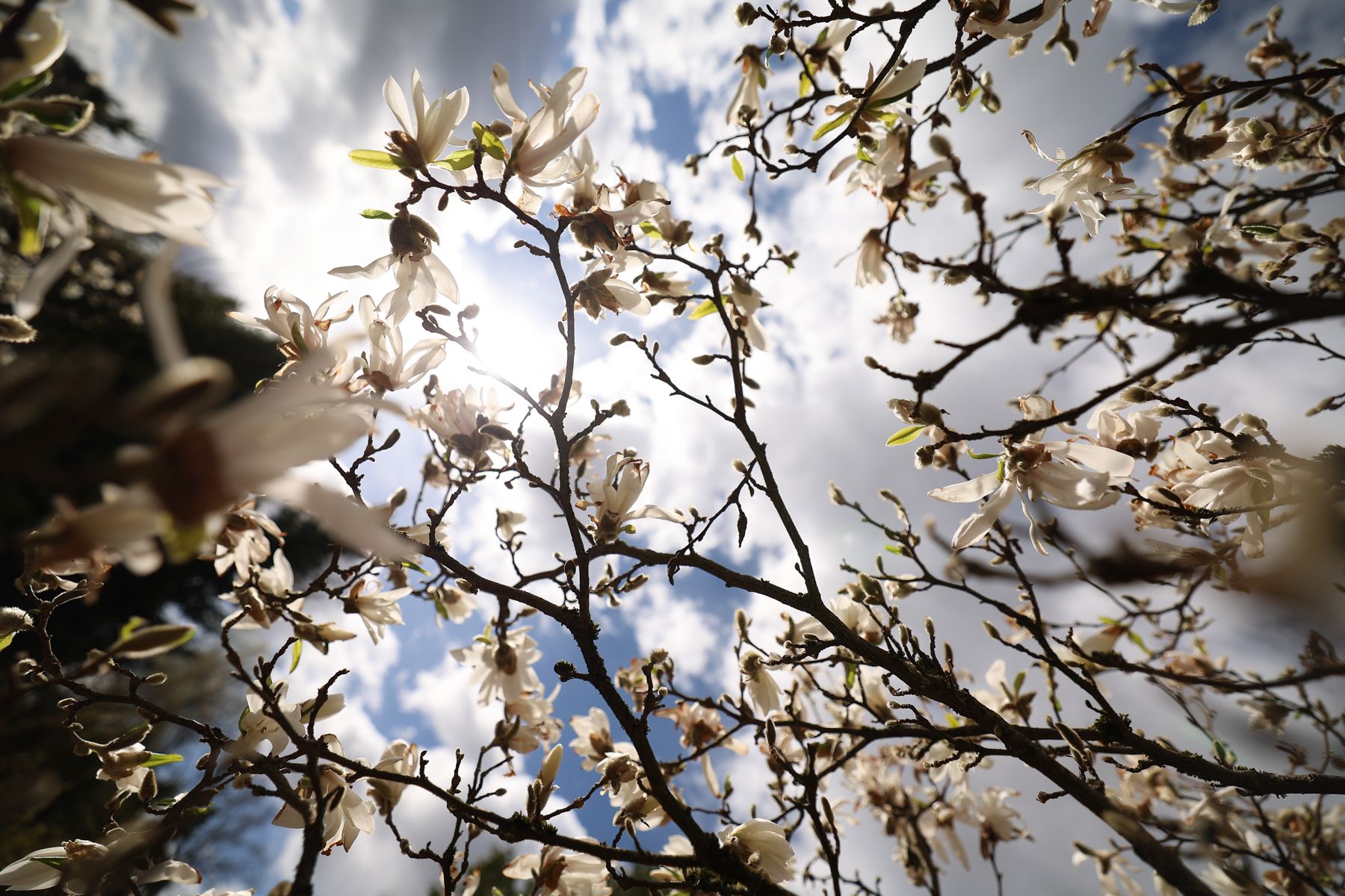 Фото: Павел Орловский, Times.by