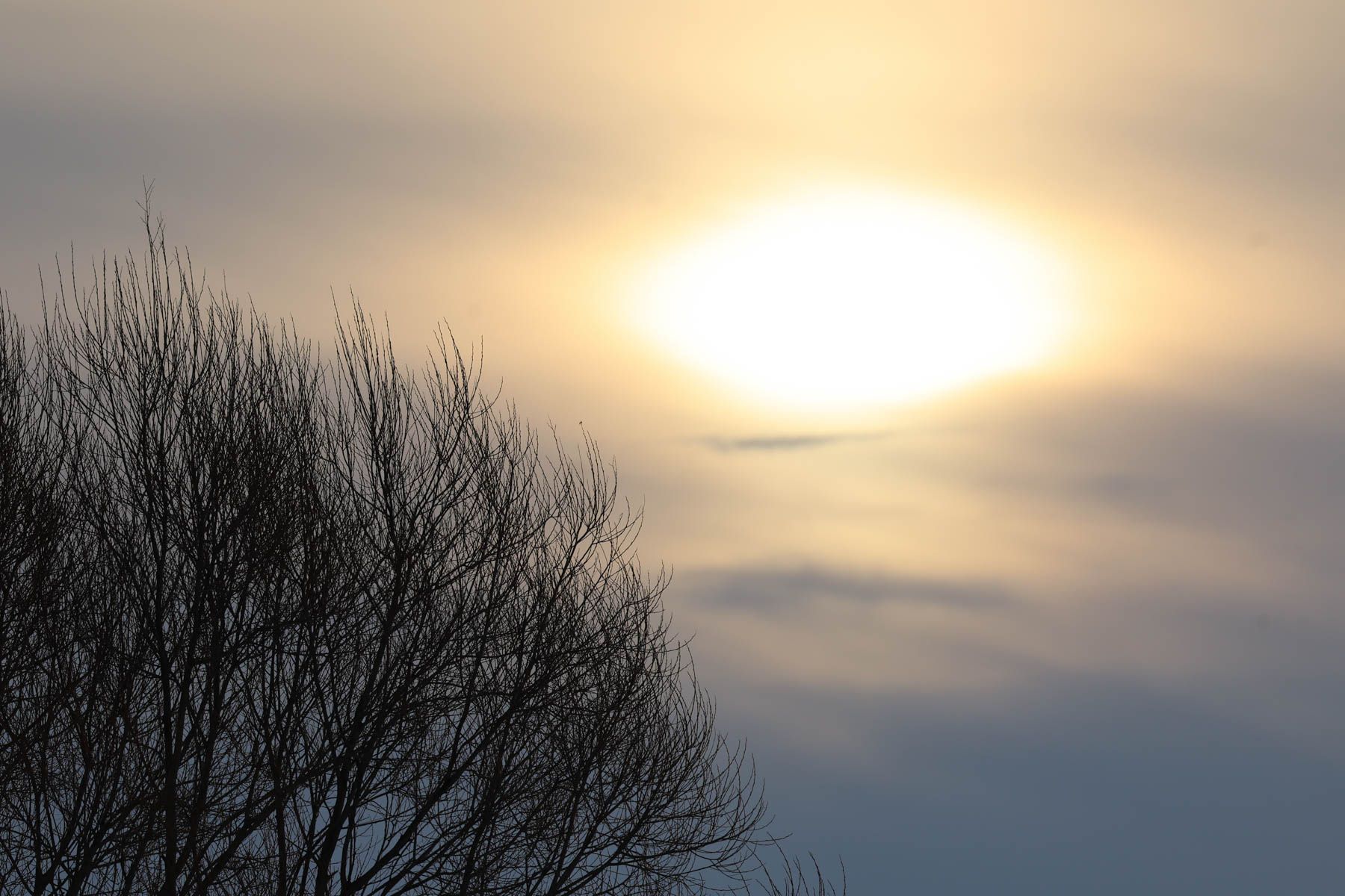 Солнце зимой