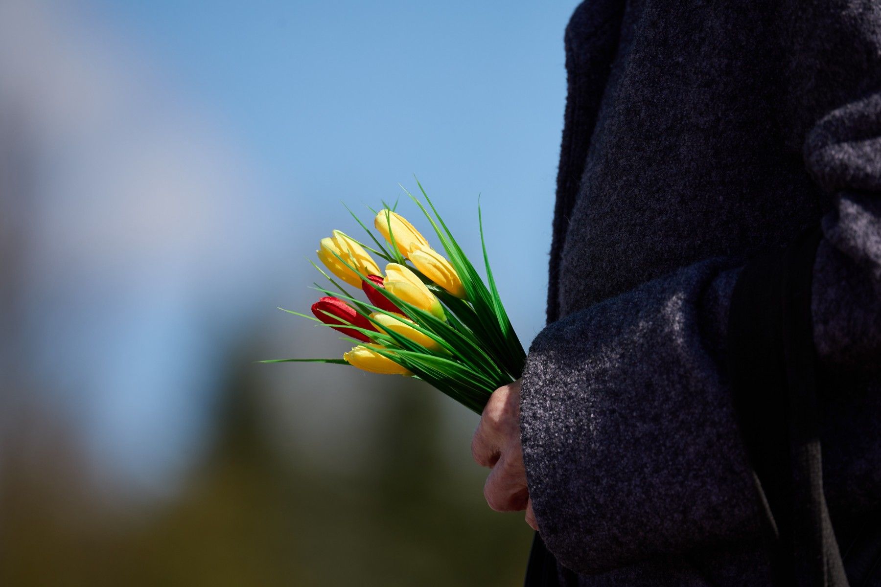 Фото: Алексей Матюшков, Times.by