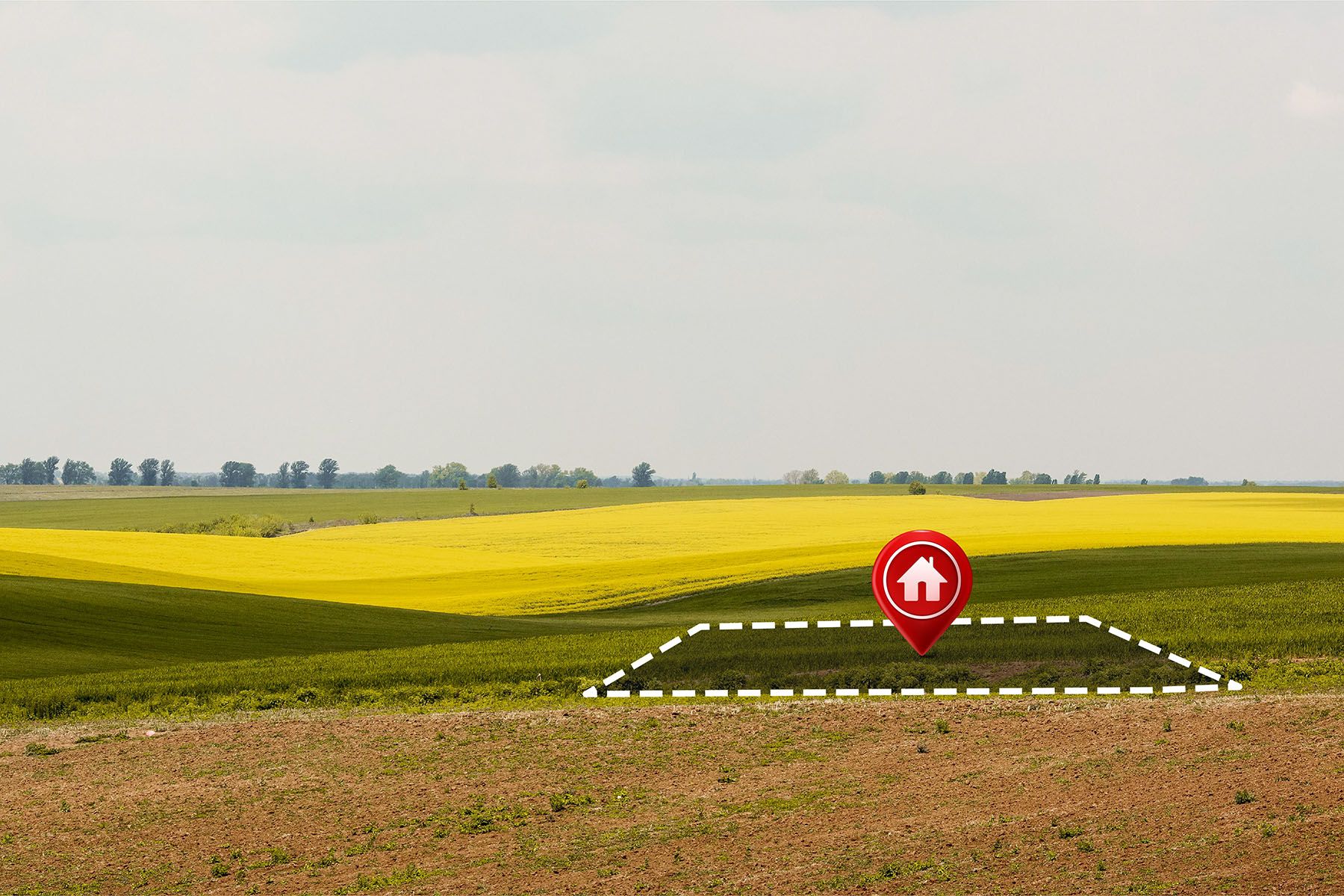 Фото: freepik, Magnific.com 