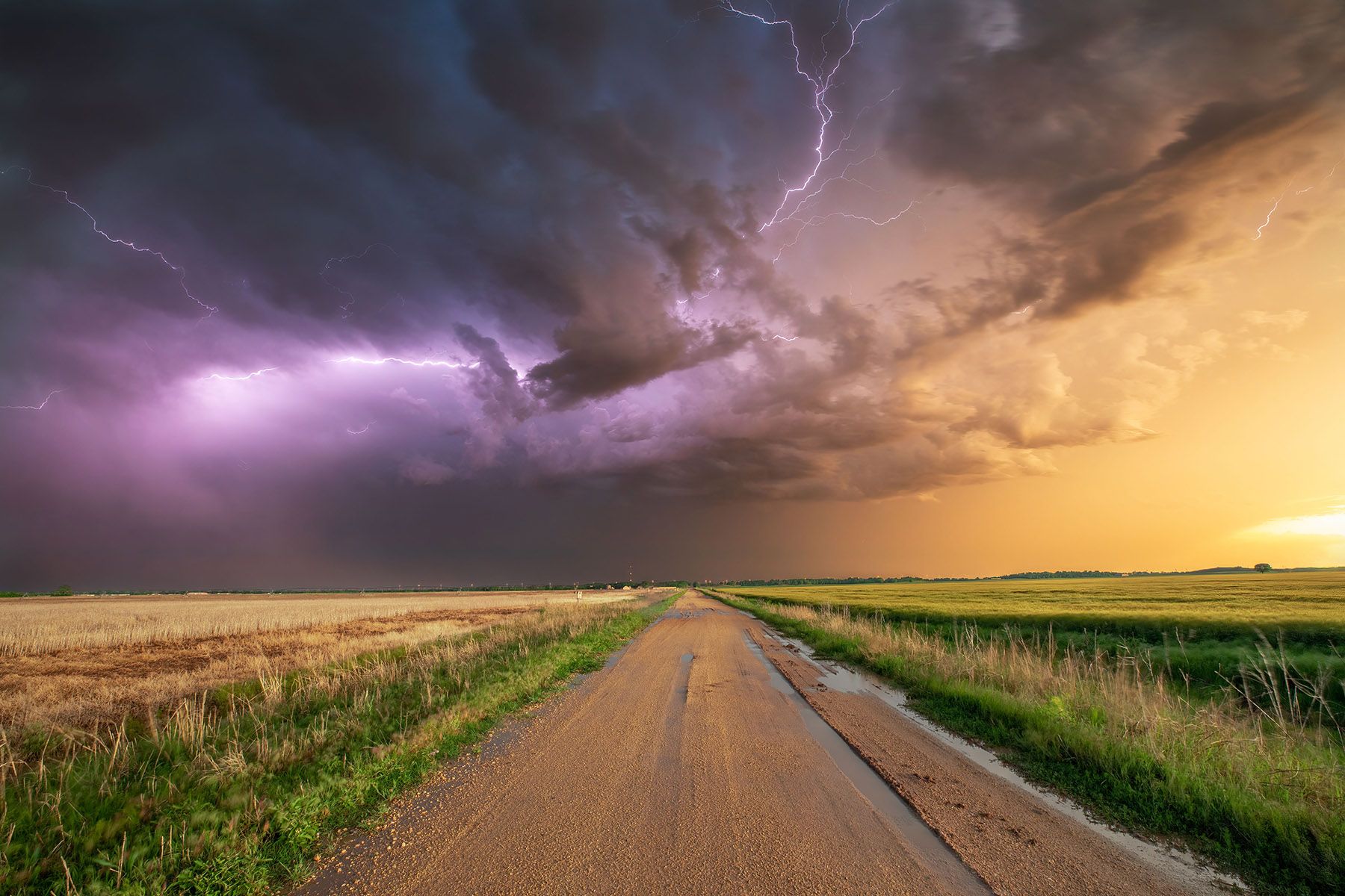 Фото: Branden Stephenson, Pexels.com