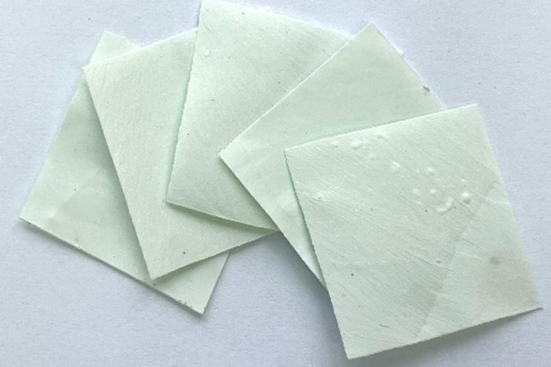 Фото: Белгосуниверситет