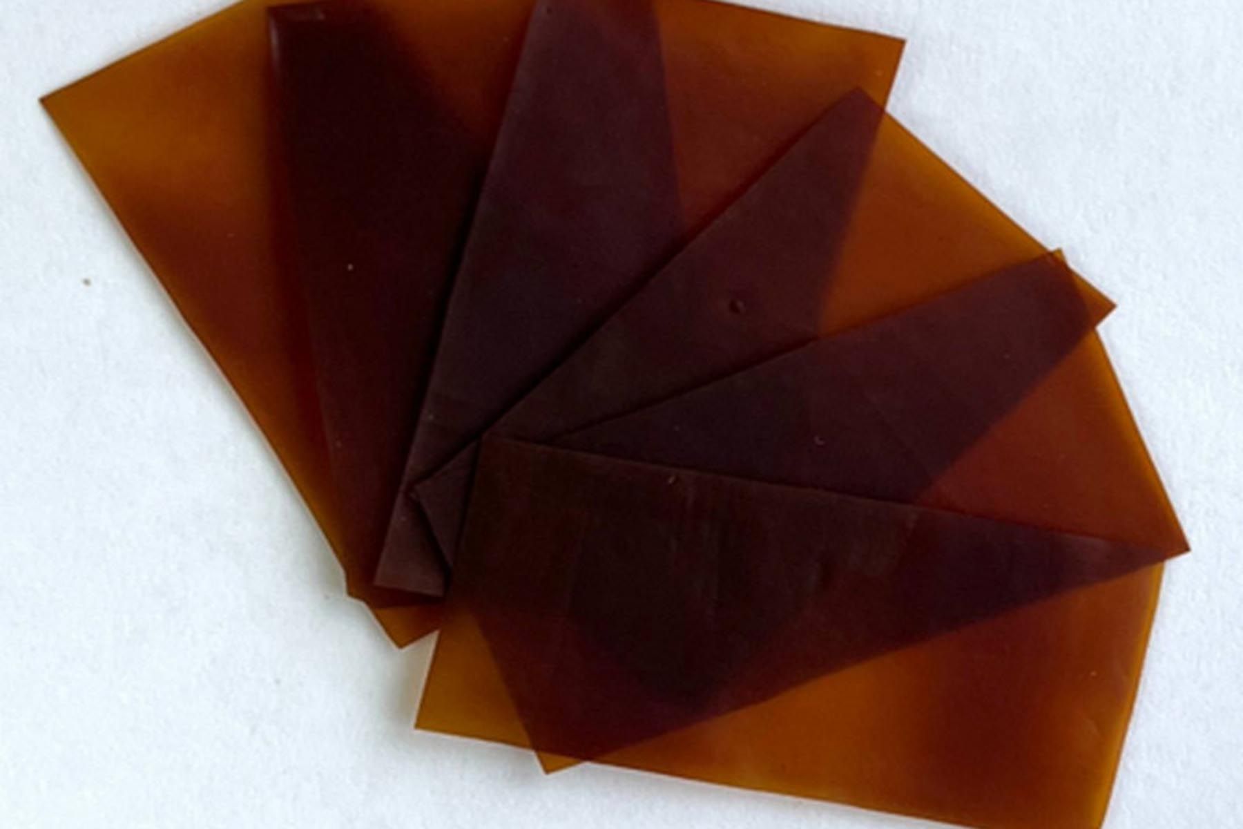 Фото: Белгосуниверситет