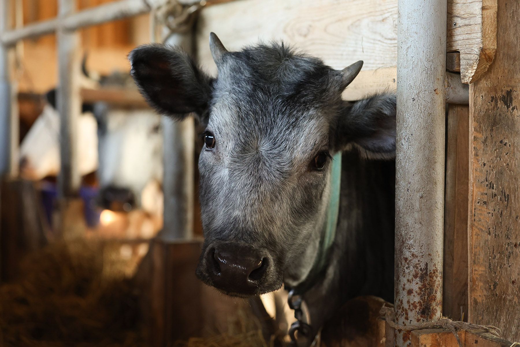 Фото: Павел Орловский, Times.by