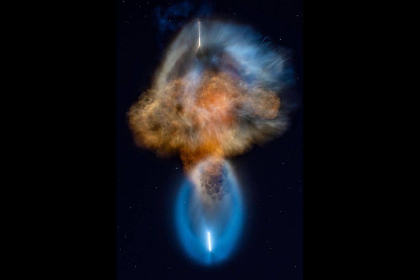 Фото: spacex, instagram.com