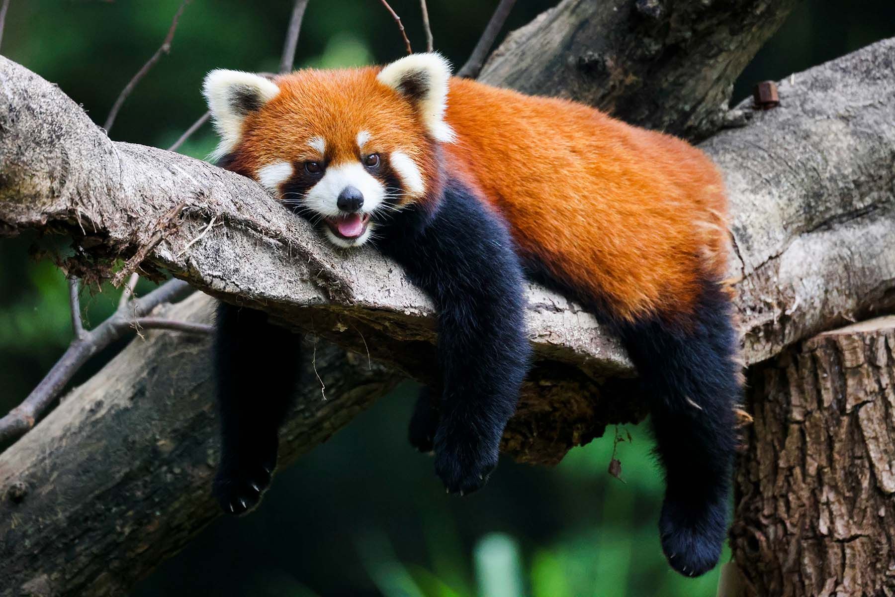 Фото: Xiangkun ZHU, Unsplash.com