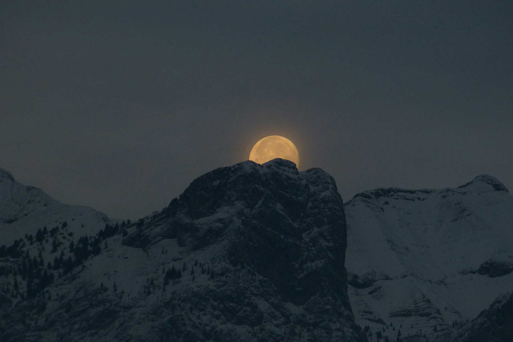 Фото: Kym MacKinnon, Unsplash.com