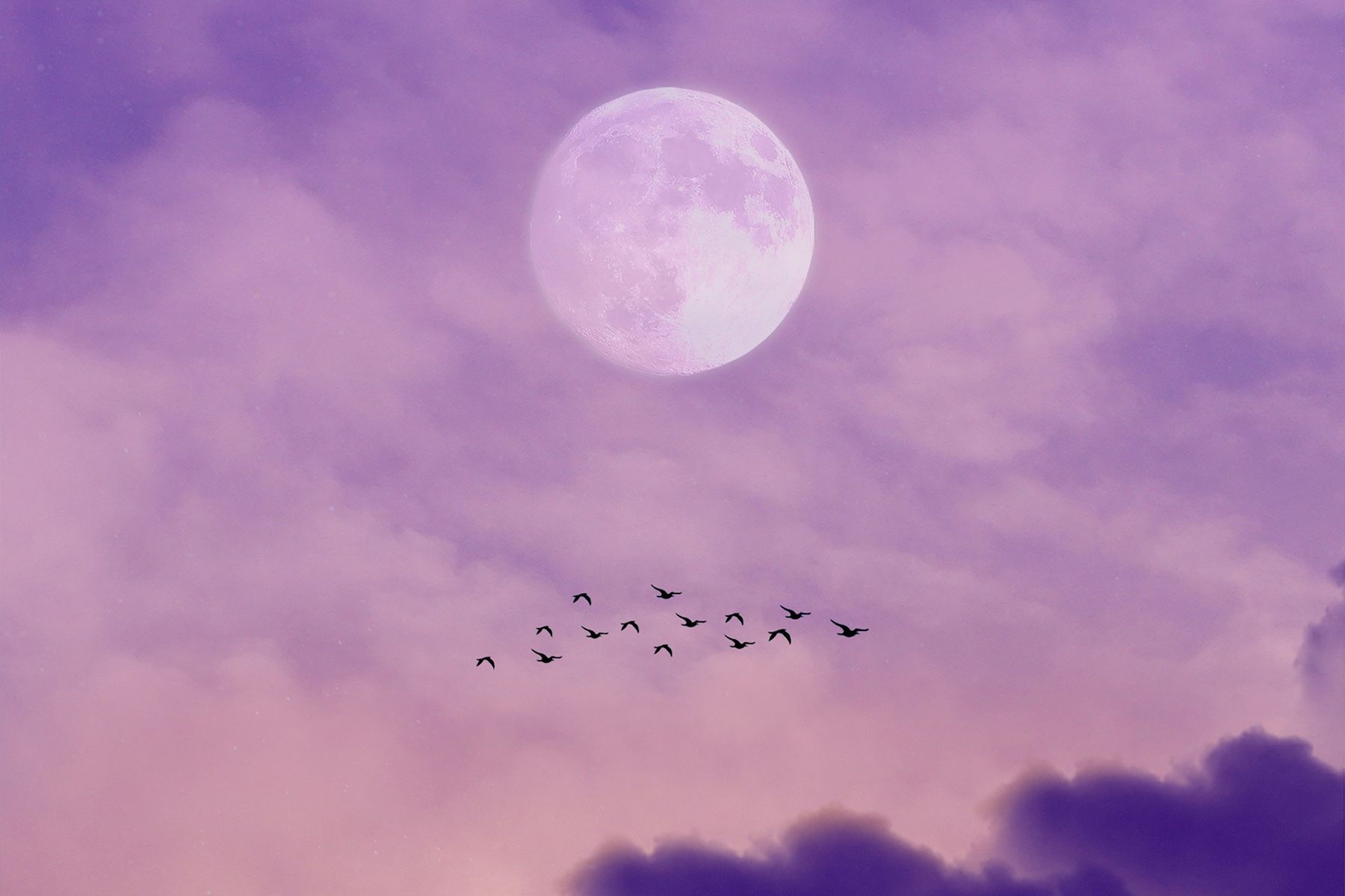 © Silas van Overeem, Unsplash.com