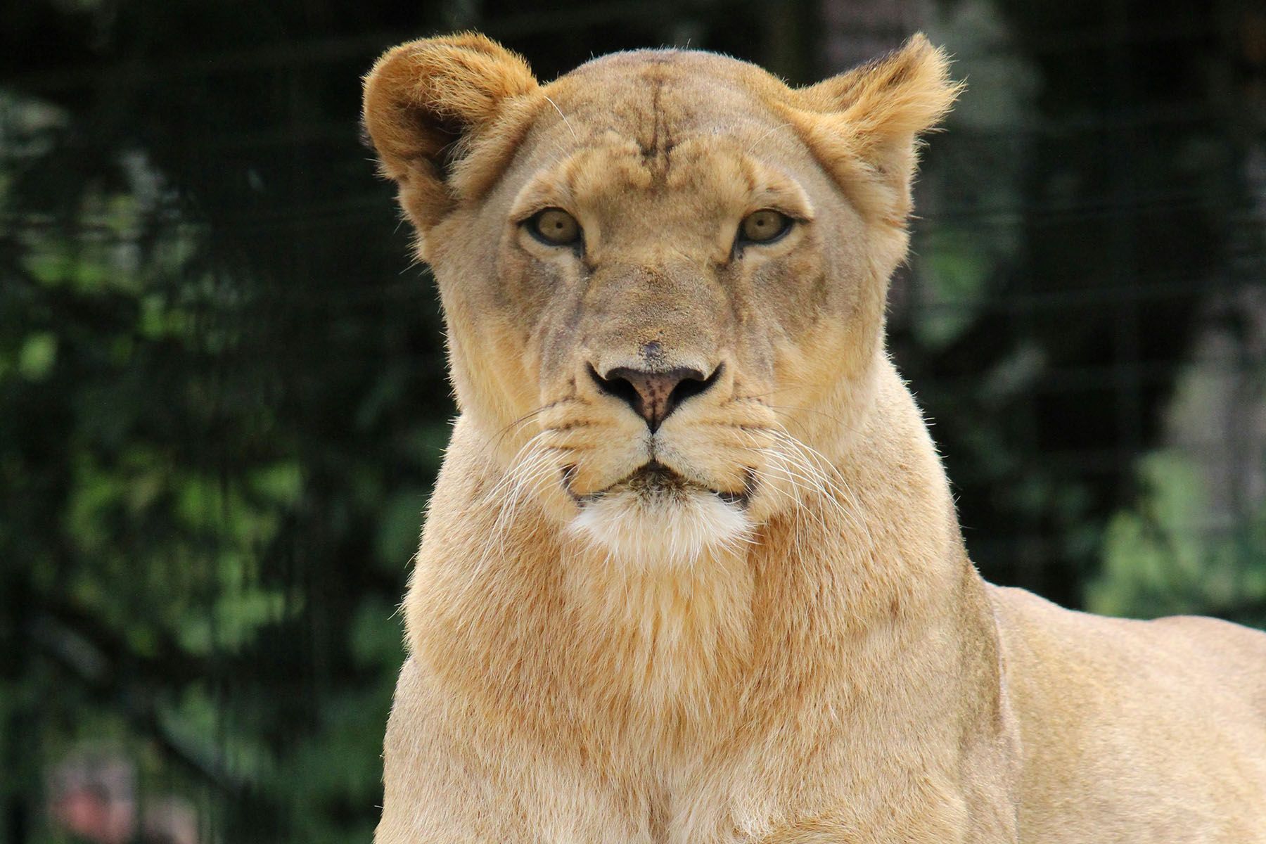 © Anaïs Buan, Unsplash.com