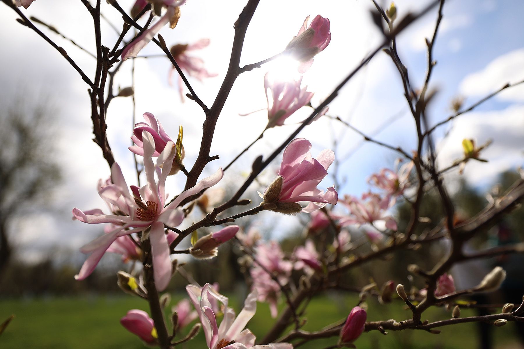 Фото: Павел Орловский, Times.by