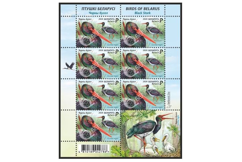 Серия марки «Птицы Беларуси»