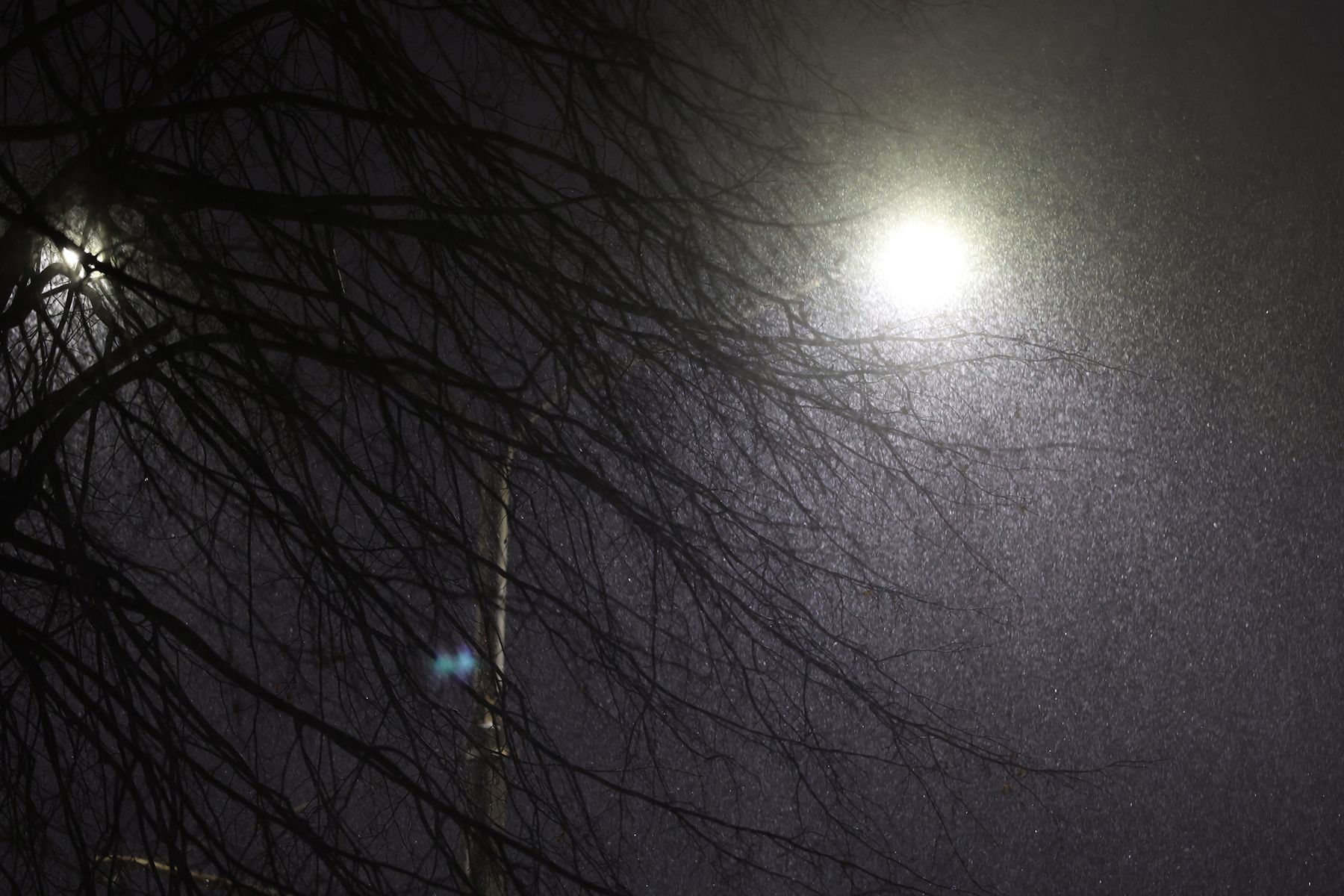 мокрый снег и фонарь