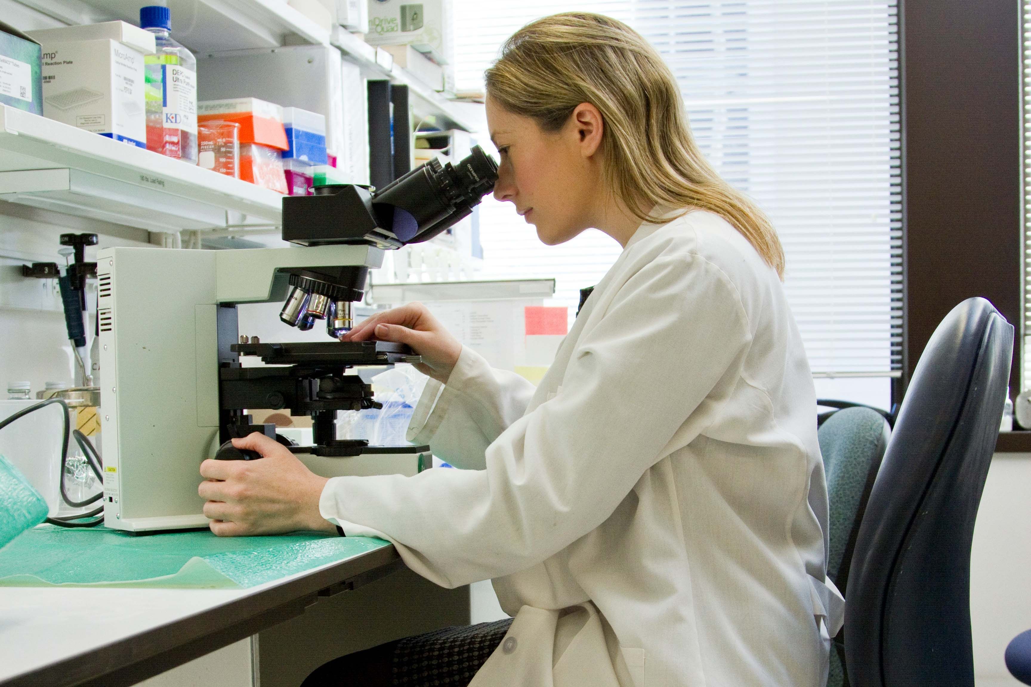 Медицинская лаборатория