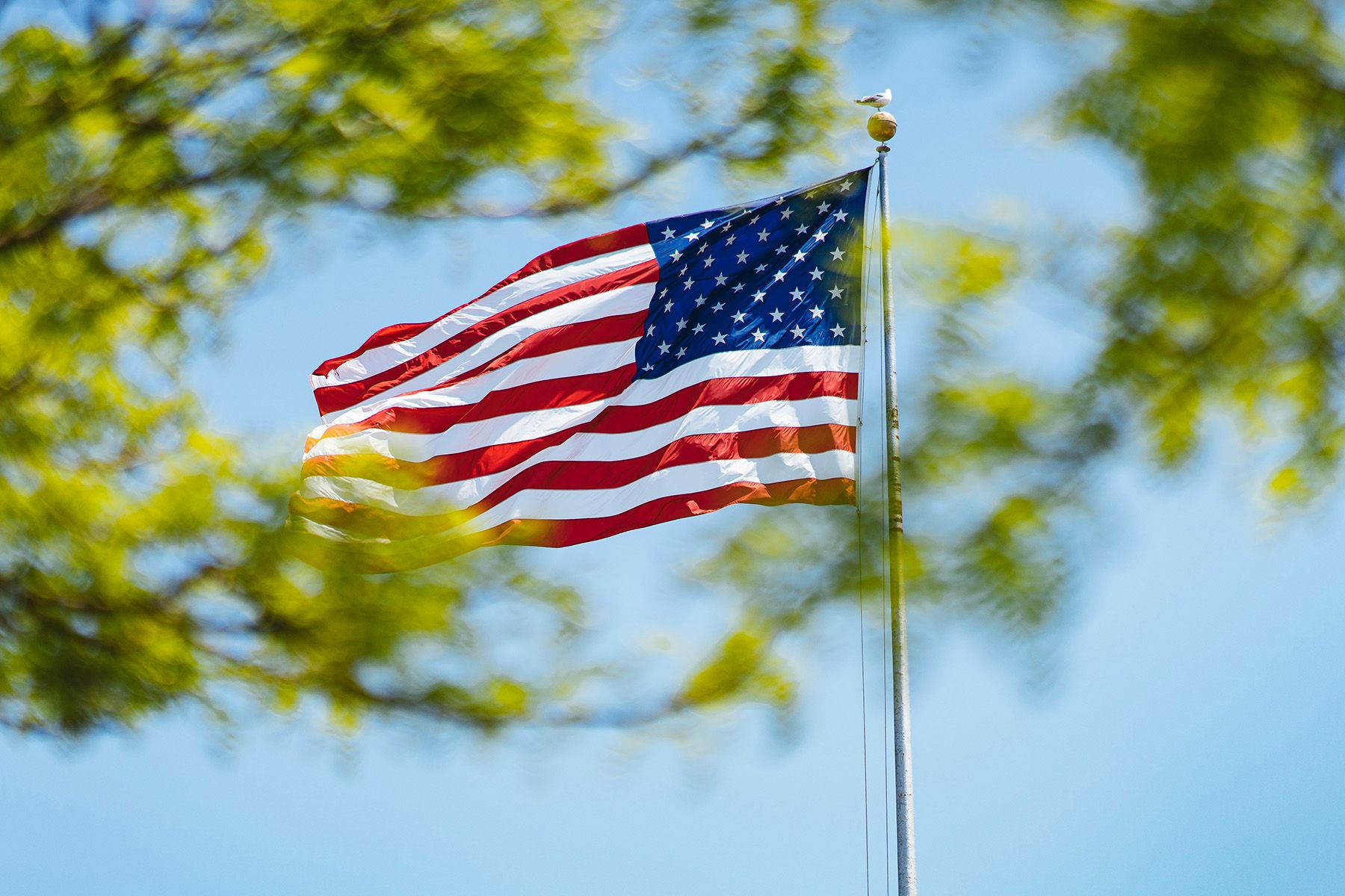 флаг сша