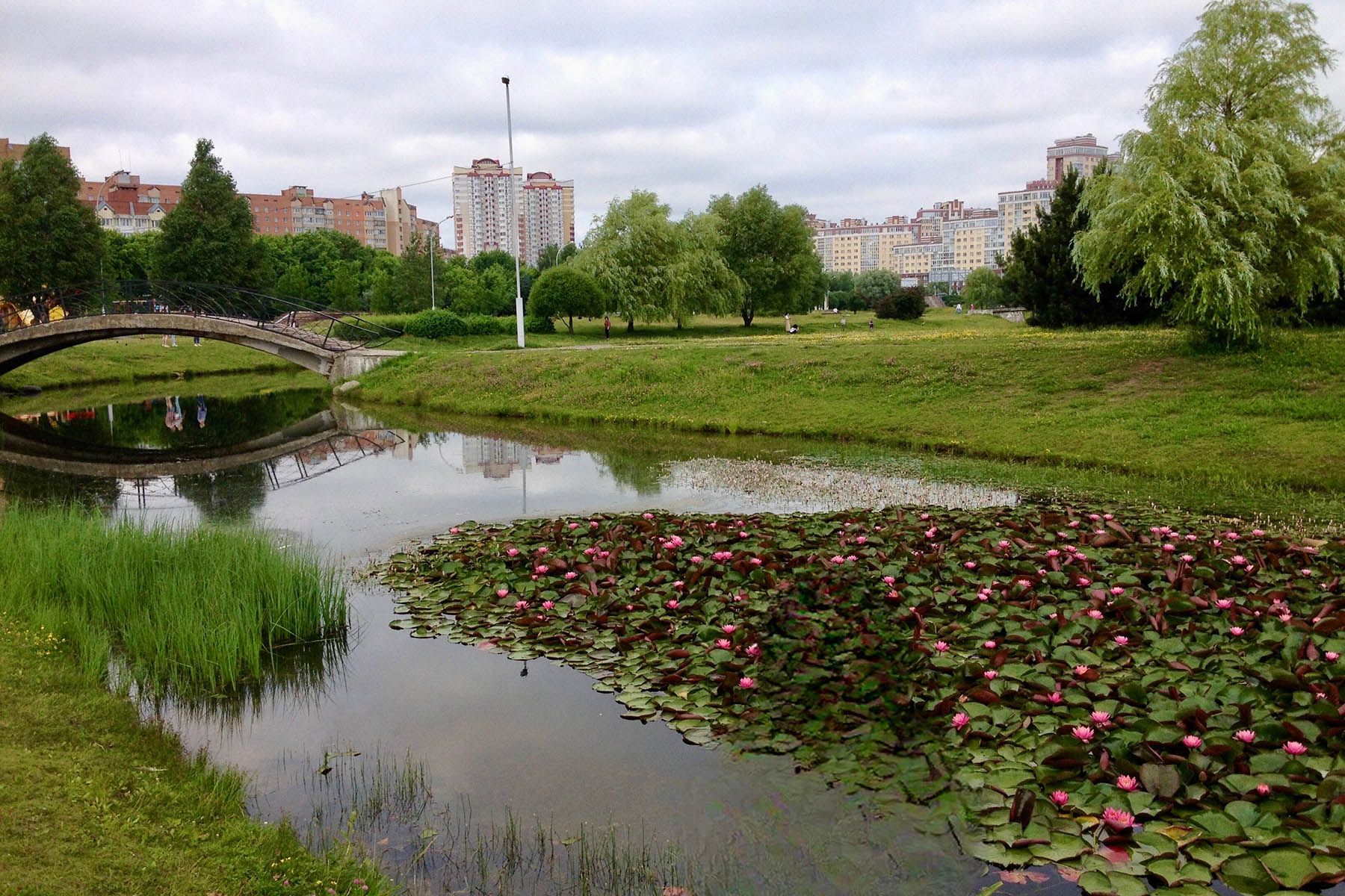 Парк Уручье в Минске. Фото: Pavel Sindrevich, Yandex.maps