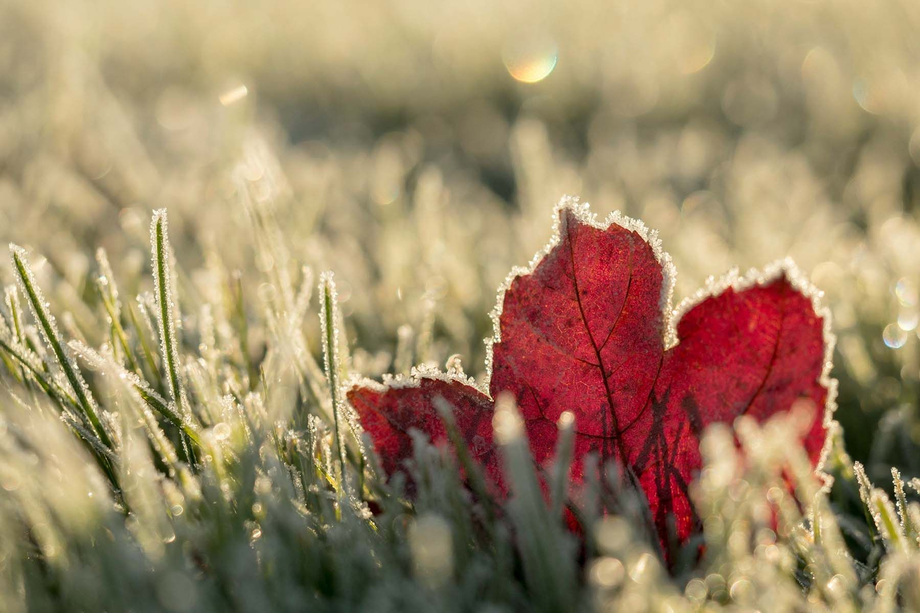 Фото: Aaron Burden, Unsplash.com