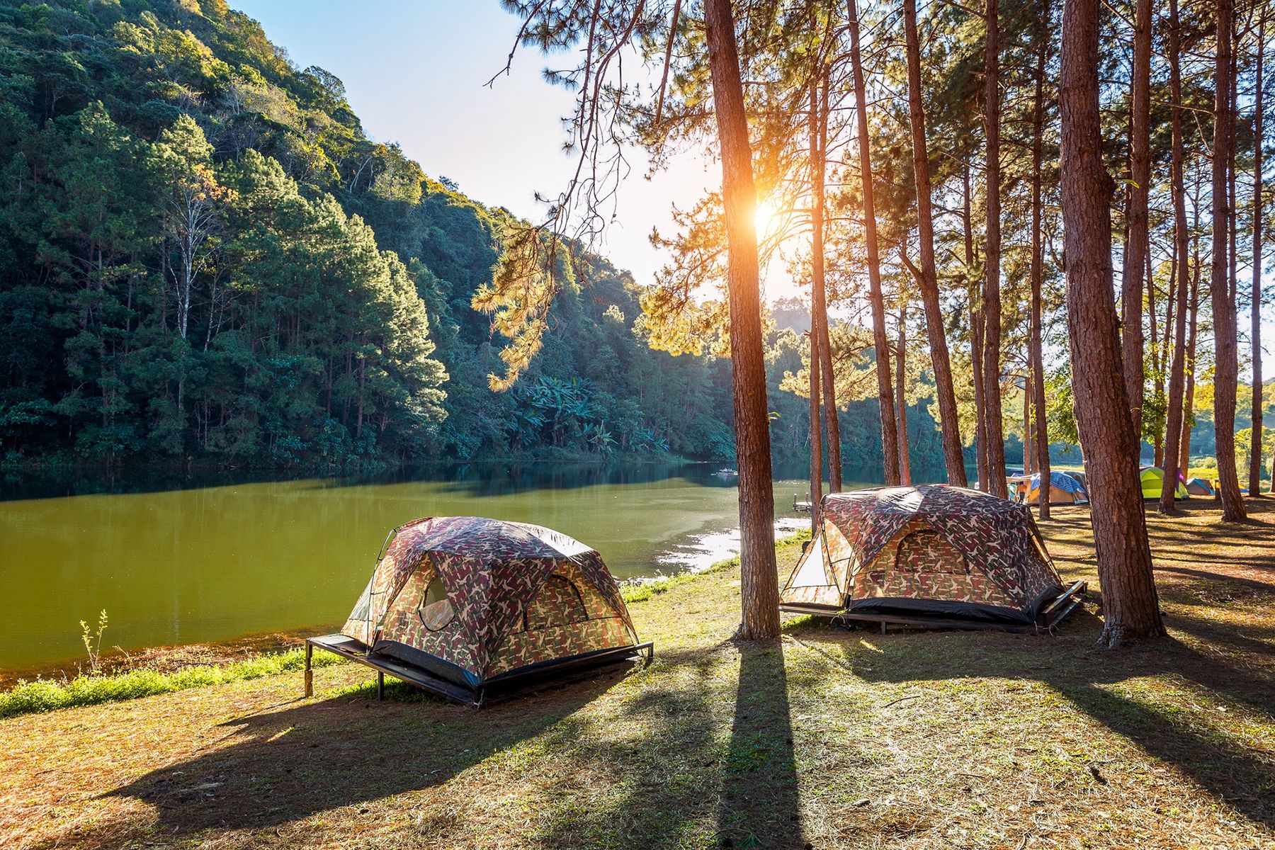 Фото: tawatchai07, magnific.com