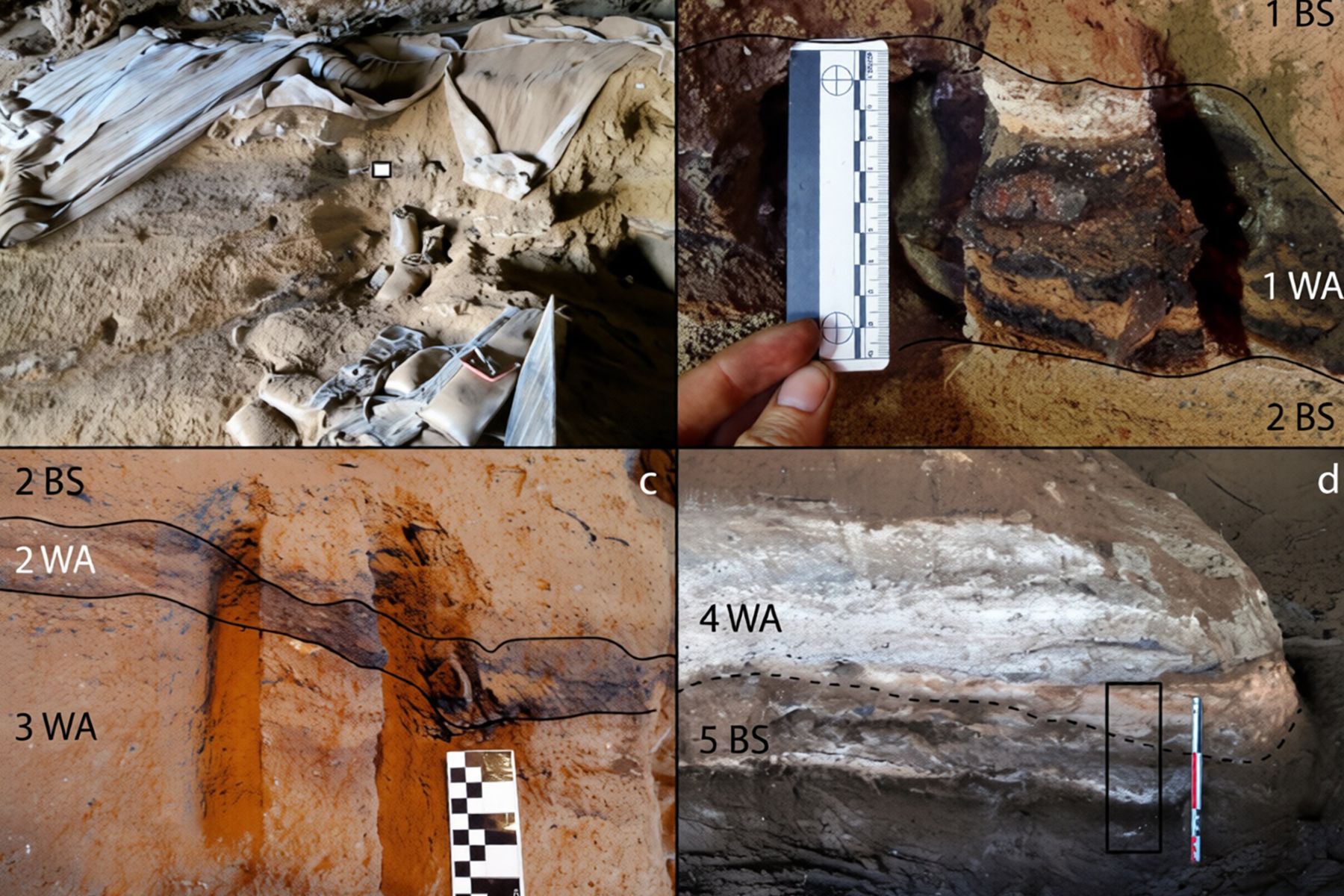 Фото: Journal of Archaeological Science