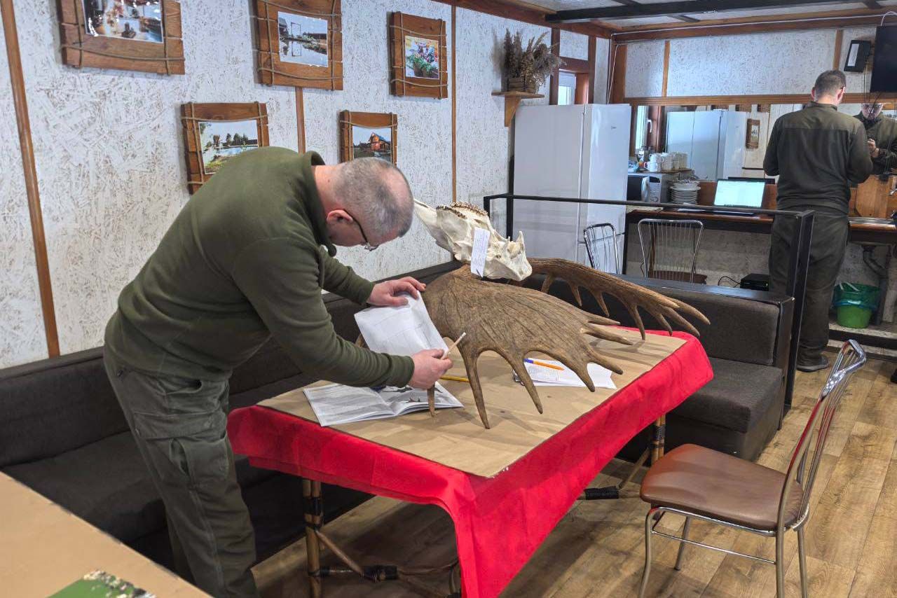 Оценка трофеев в БООР