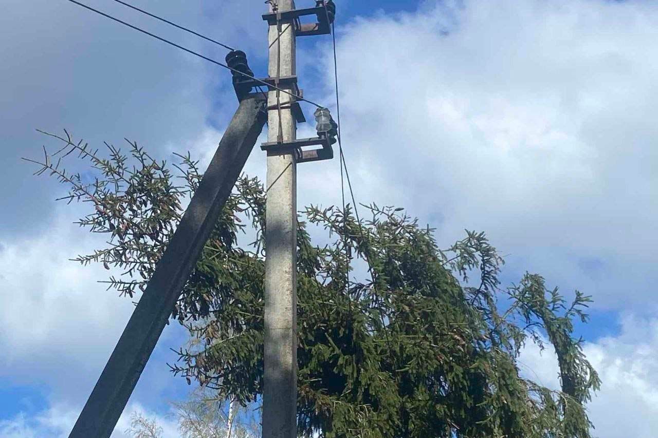 Упавшее на провода дерево