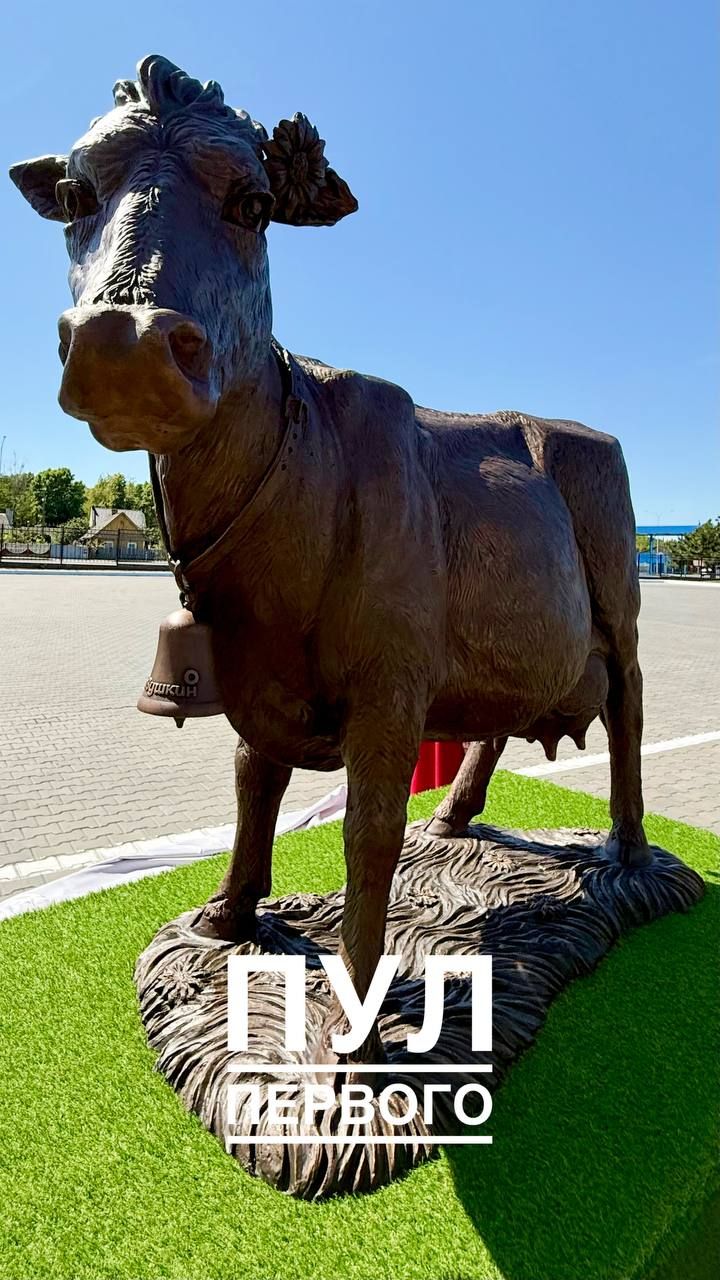 Фото: Пул Первого, Telegram