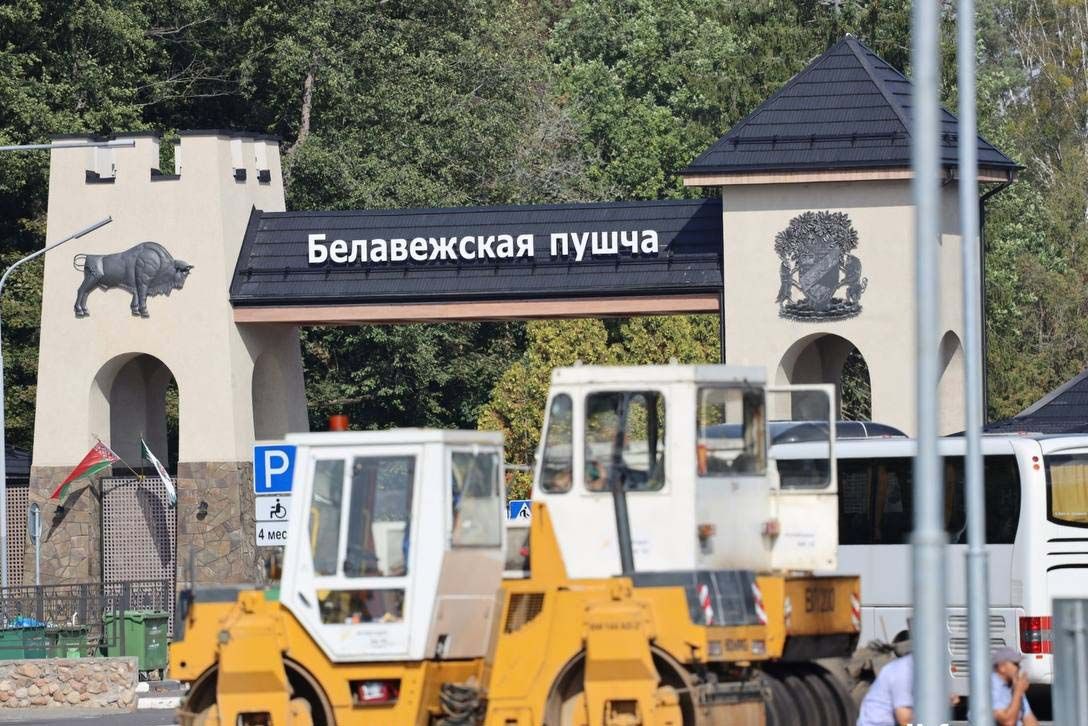 беловежская пуща