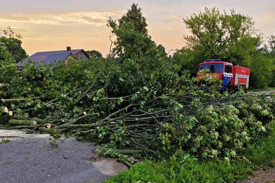 Фото: МЧС Беларуси