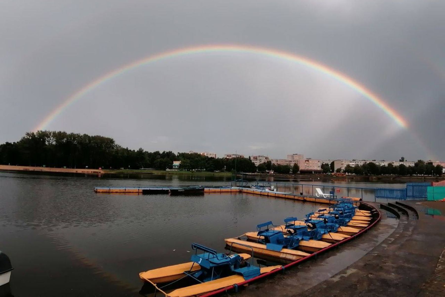 Фото: ОСВОД Беларуси, Telegram