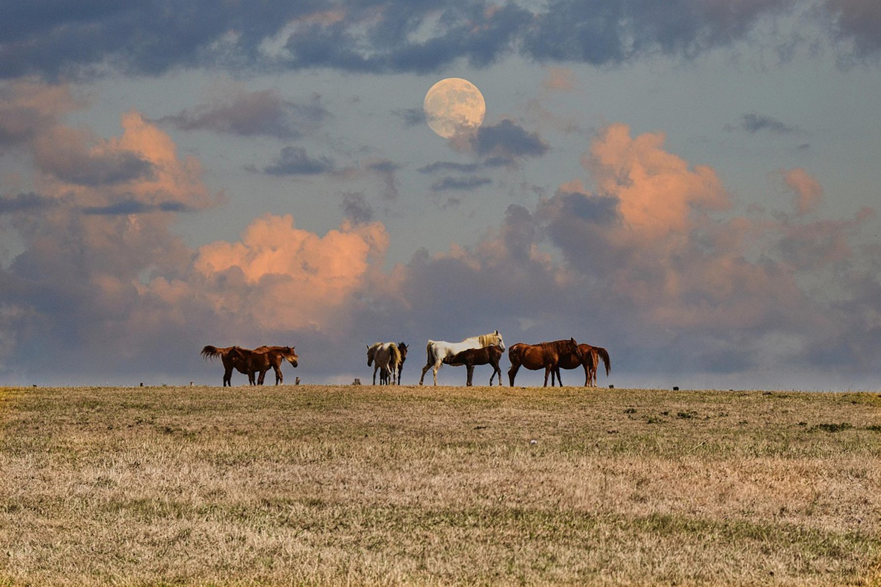 Фото: lecreusois, pixabay.com
