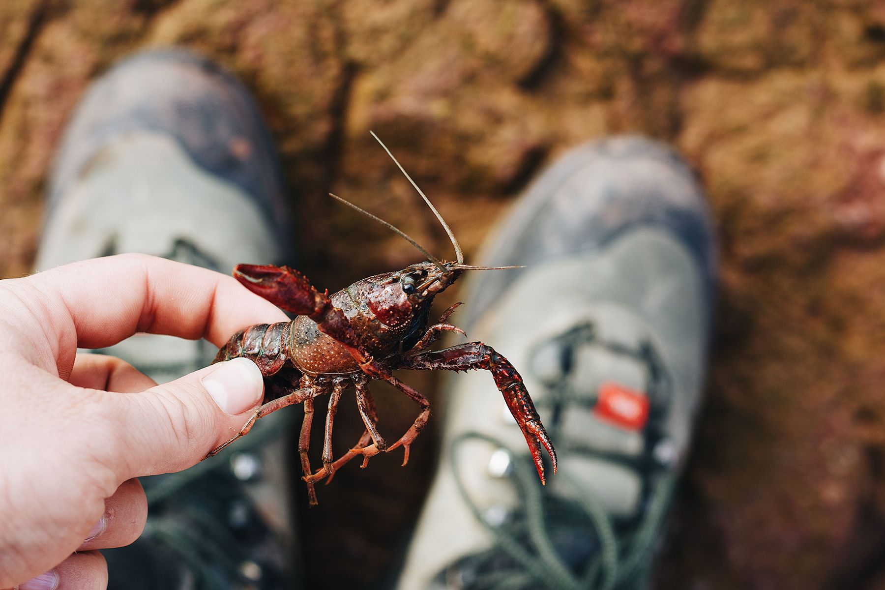 Фото: Maël BALLAND, pexels.com