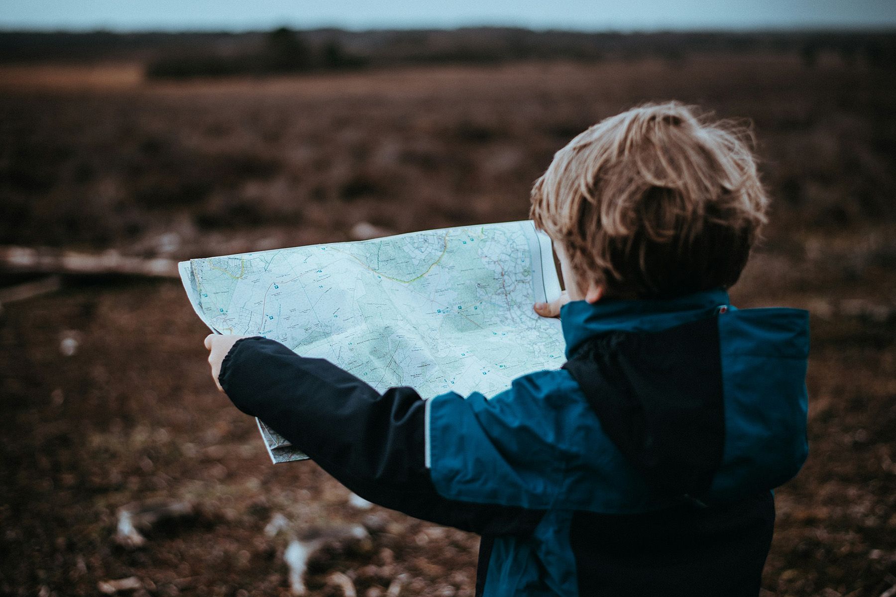 Фото: Annie Spratt, Unsplash.com
