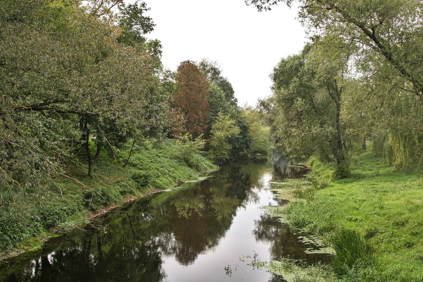 Река Мухавец. Фото: Белорусская энциклопедия