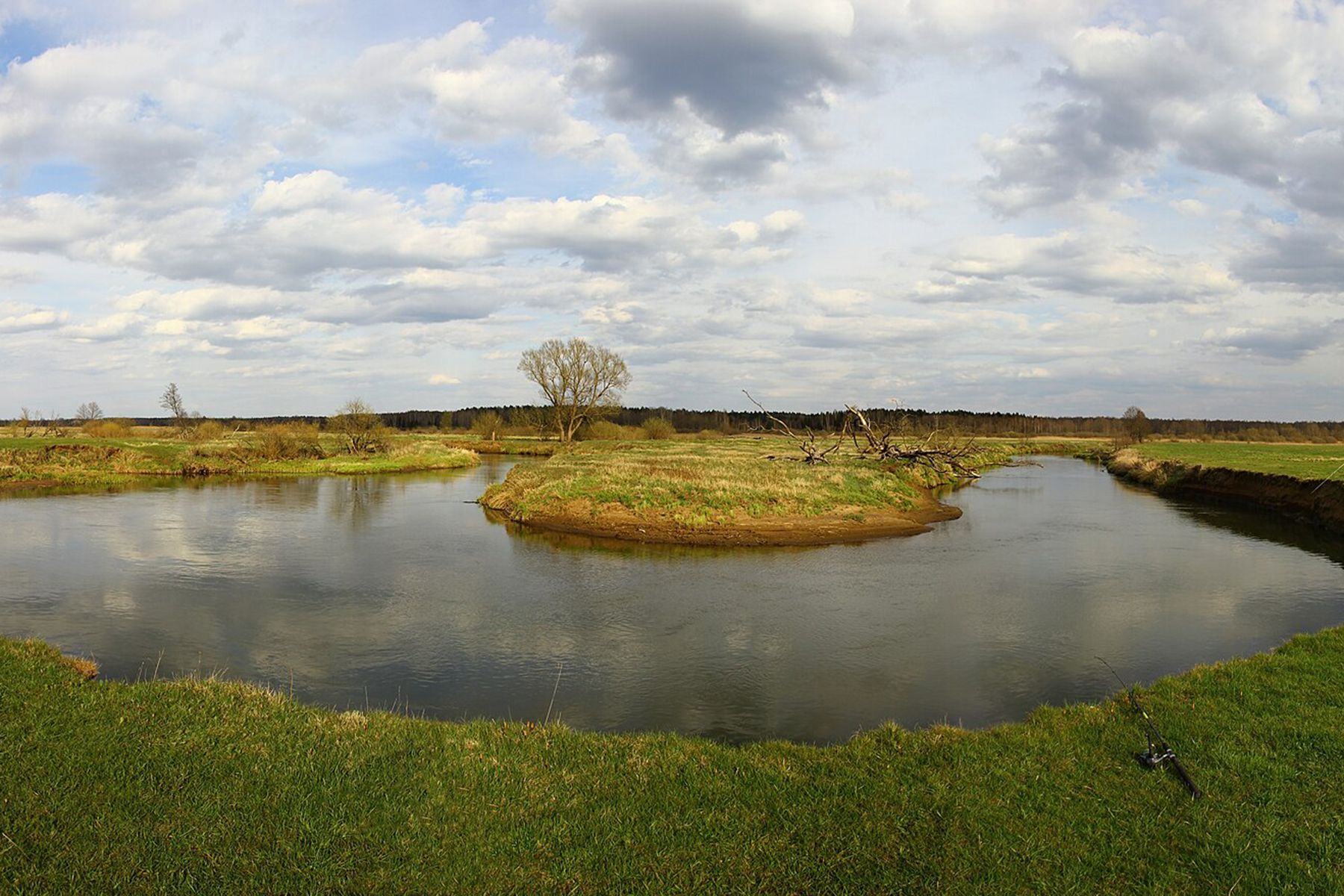 Река Проня, Могилевская область. Фото: Malupasic, CC BY-SA 4.0